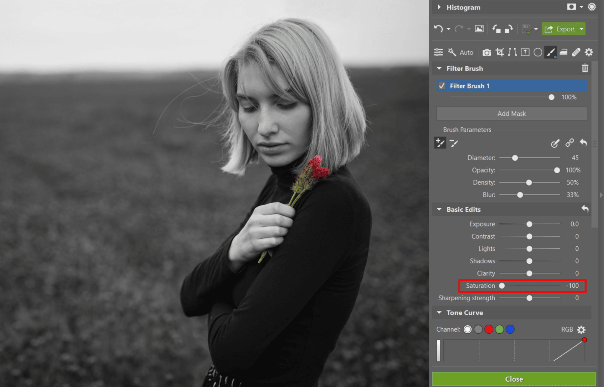 A photographer’s worst nightmare or an indispensable tool? Three ways you can use Selective Color and decide for yourself