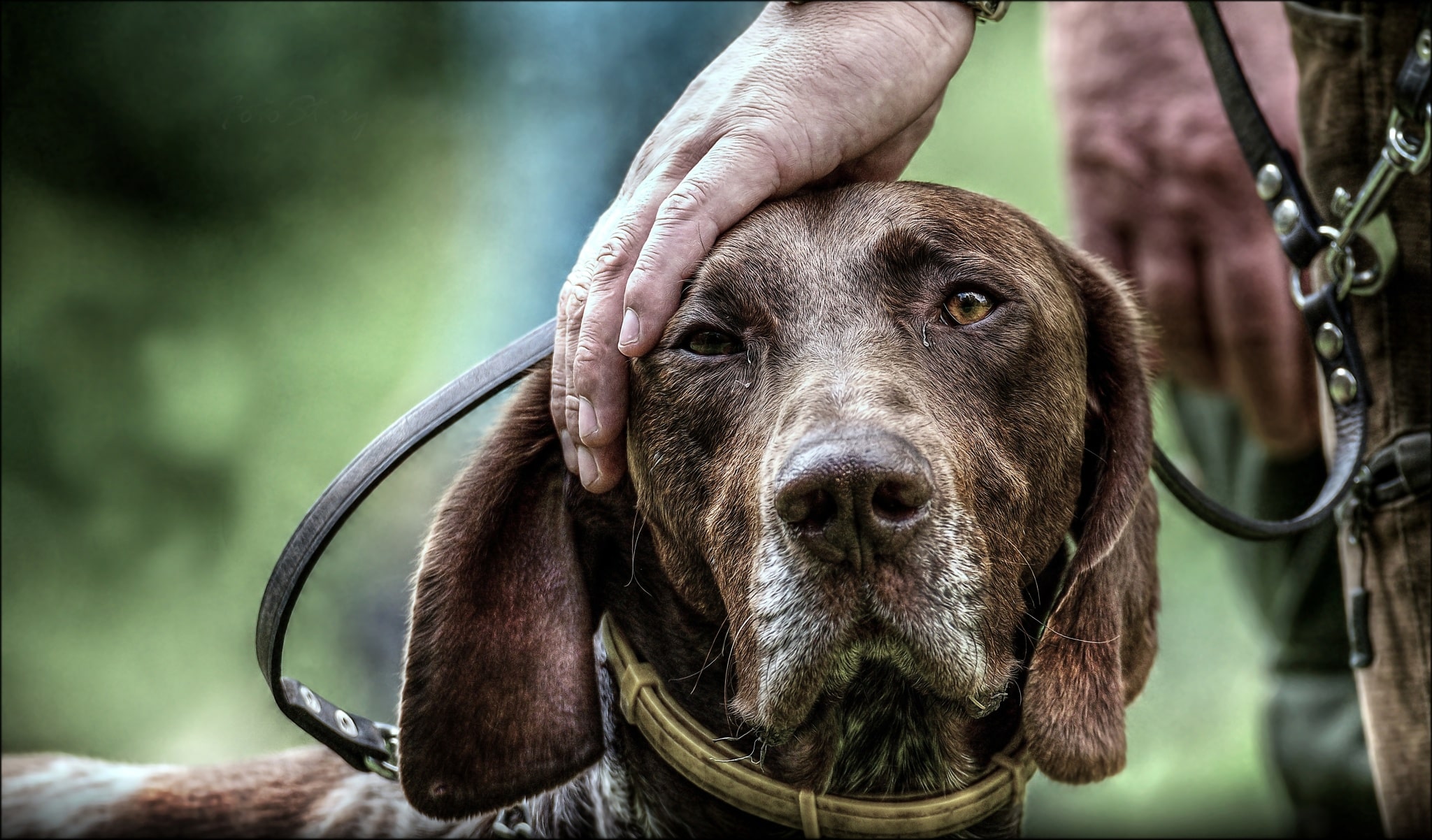 Hunter photographer Adam Simandel: ‘If I survive this, it’ll make one heck of a story’