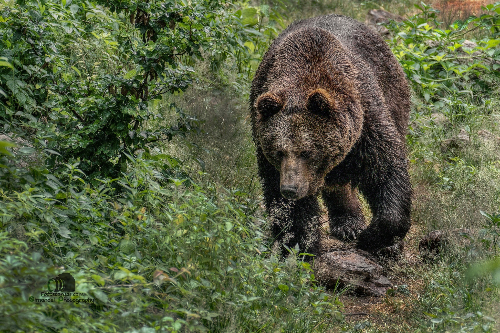 Hunter photographer Adam Simandel: ‘If I survive this, it’ll make one heck of a story’