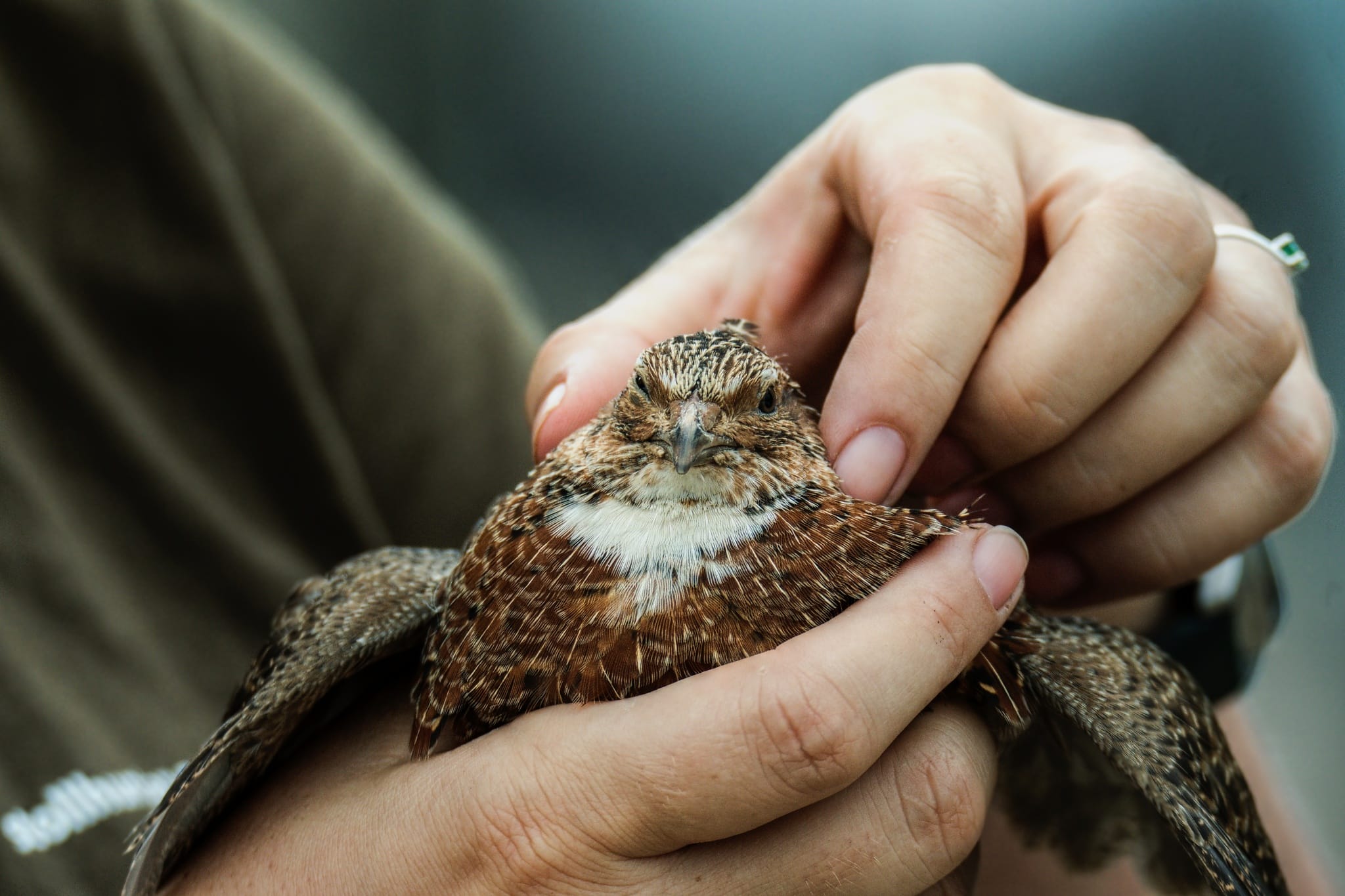 Hunter photographer Adam Simandel: ‘If I survive this, it’ll make one heck of a story’