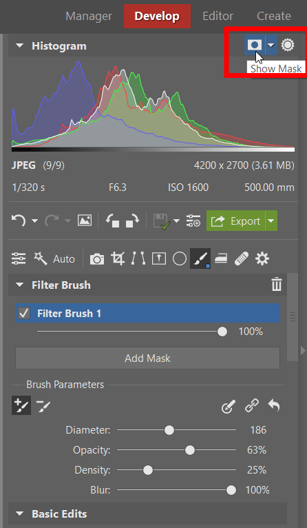 The Filter Brush: Have Complete Control Over Every Part of Your Photo