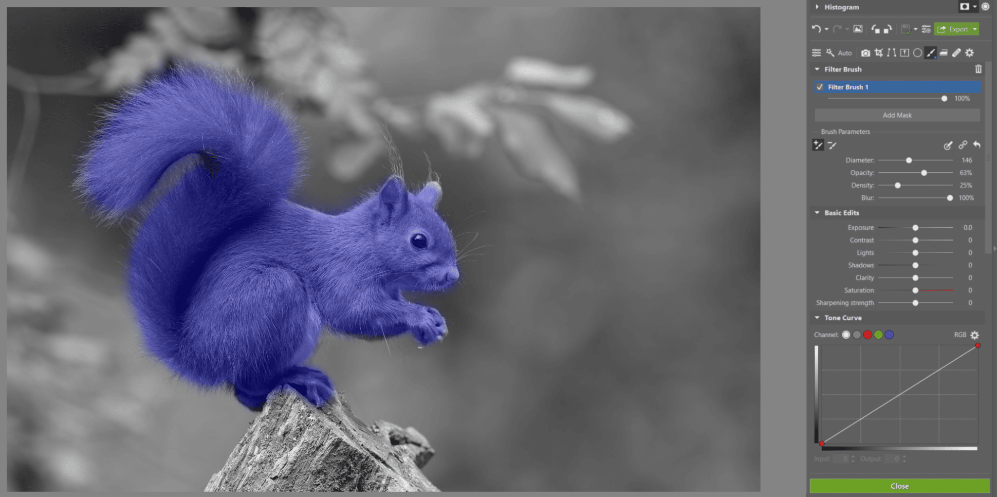 The Filter Brush: Have Complete Control Over Every Part of Your Photo