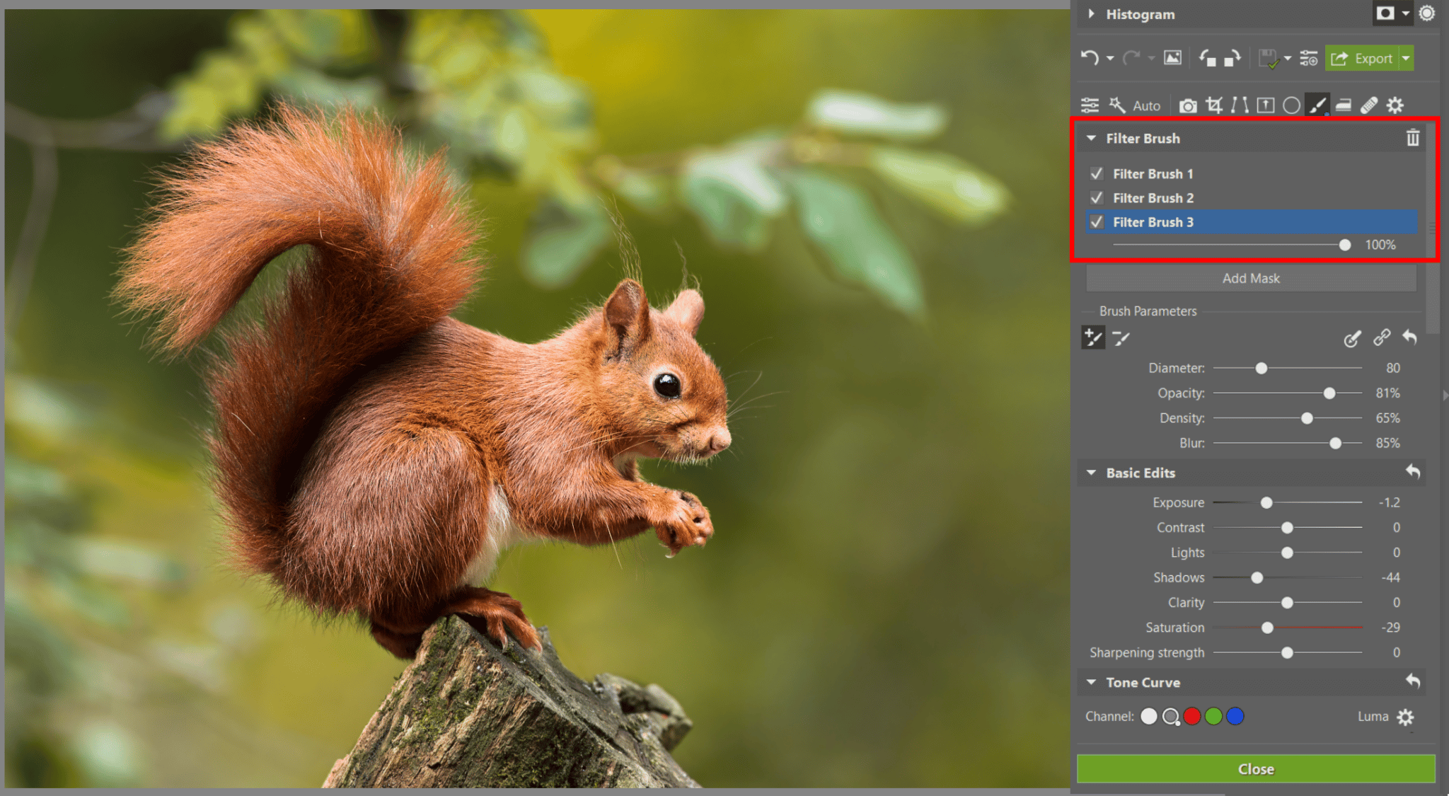 The Filter Brush: Have Complete Control Over Every Part of Your Photo
