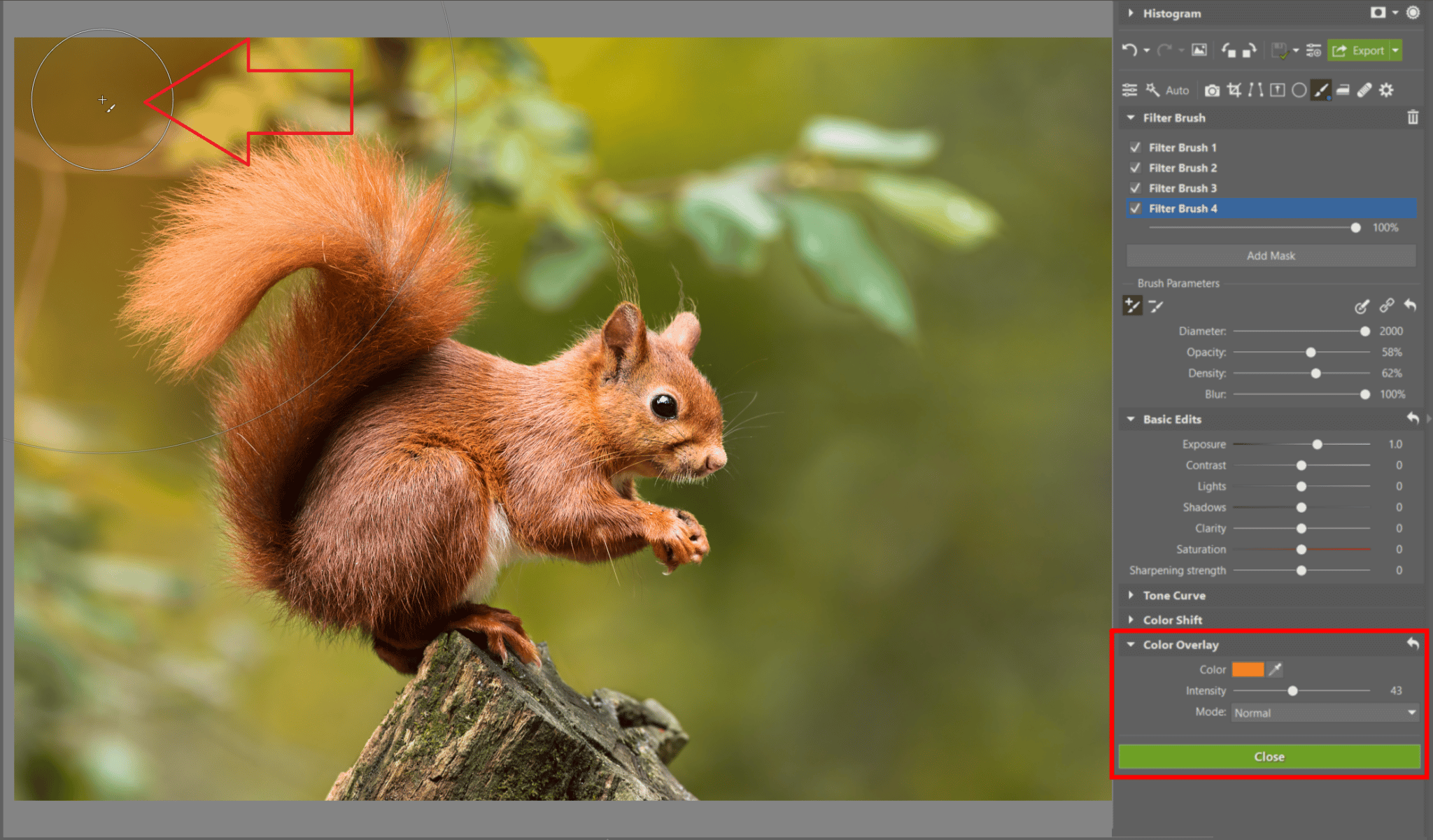 The Filter Brush: Have Complete Control Over Every Part of Your Photo