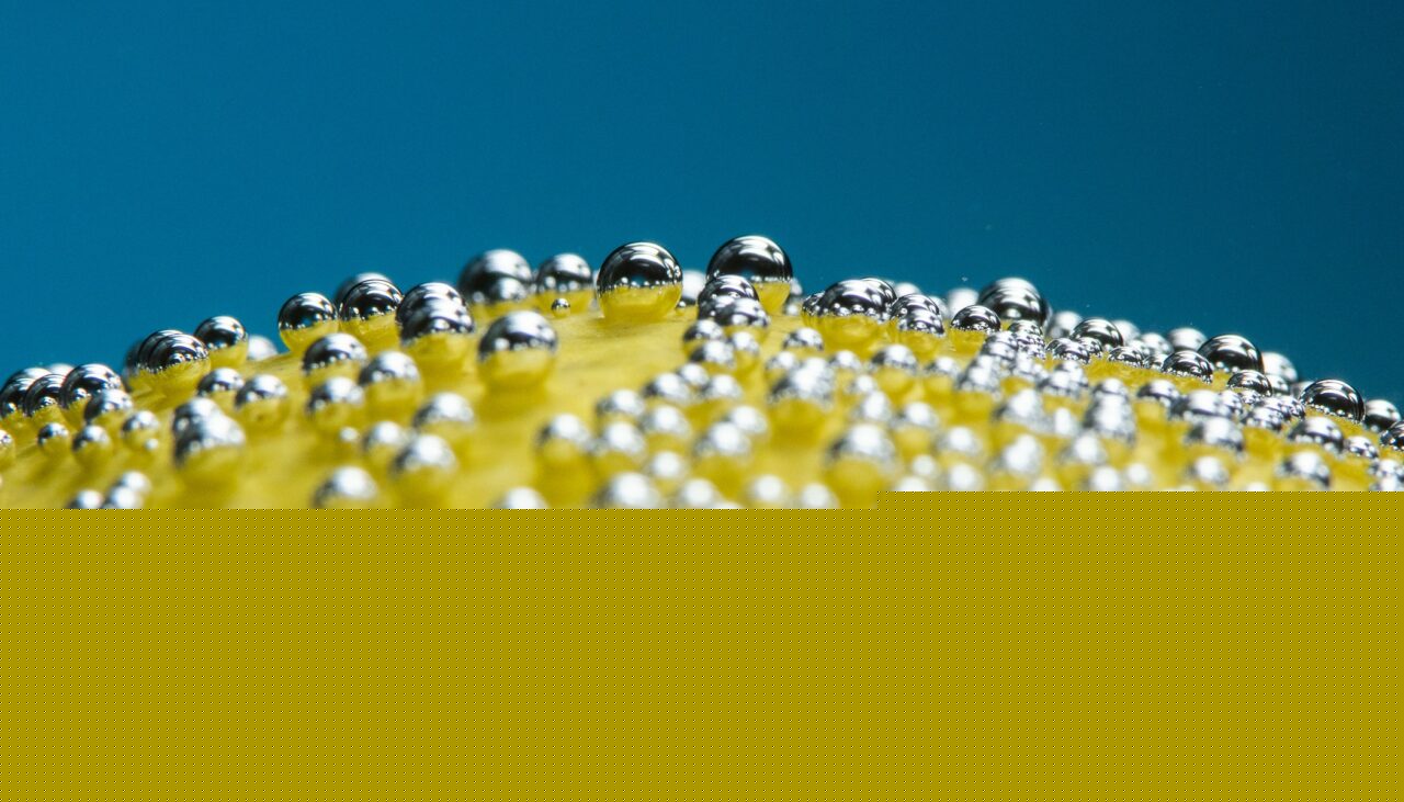 Sparkling Water Still Life Photography Learn Photography by Zoner Photo Studio