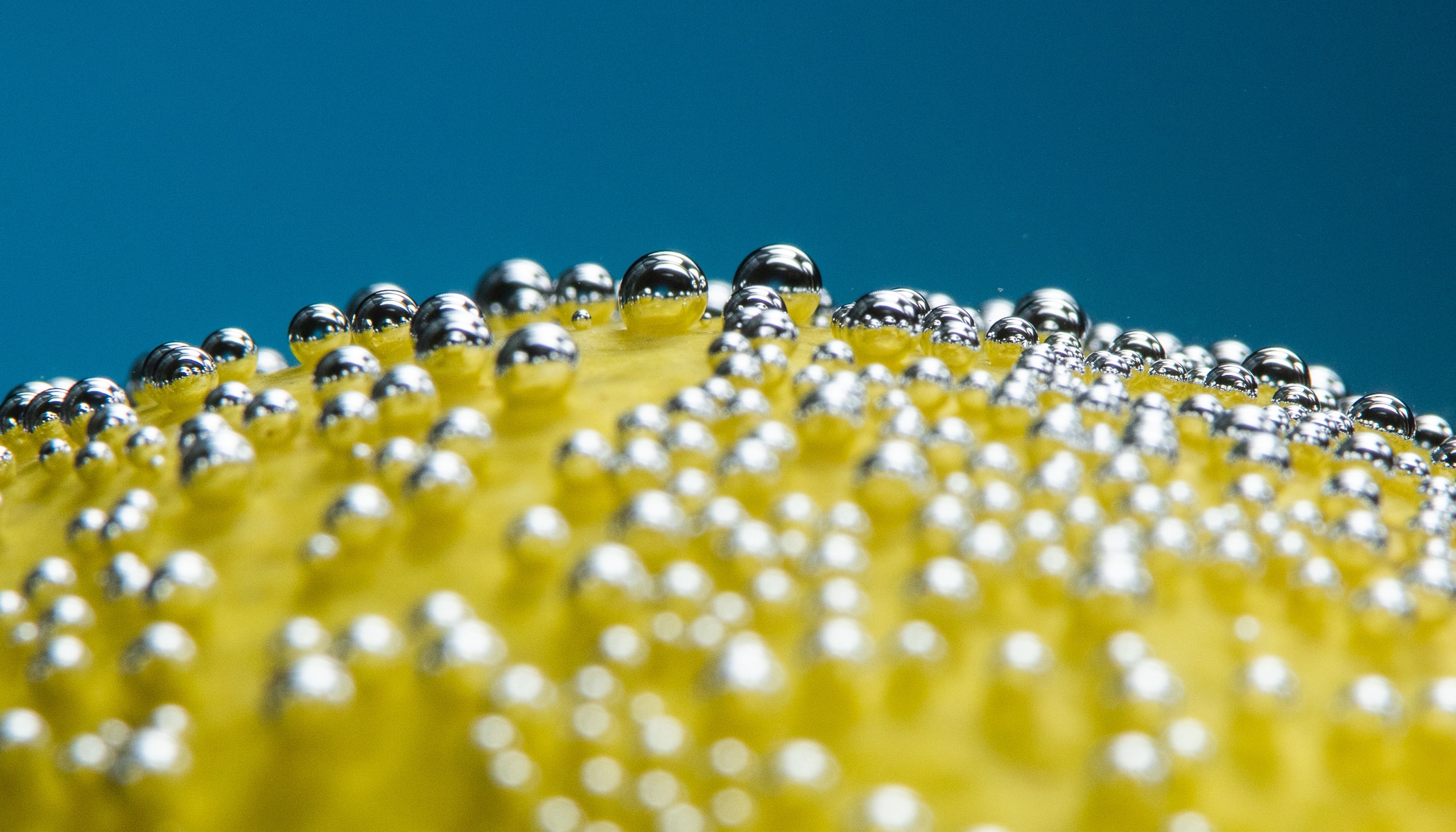 Sparkling Water Still Life Photography