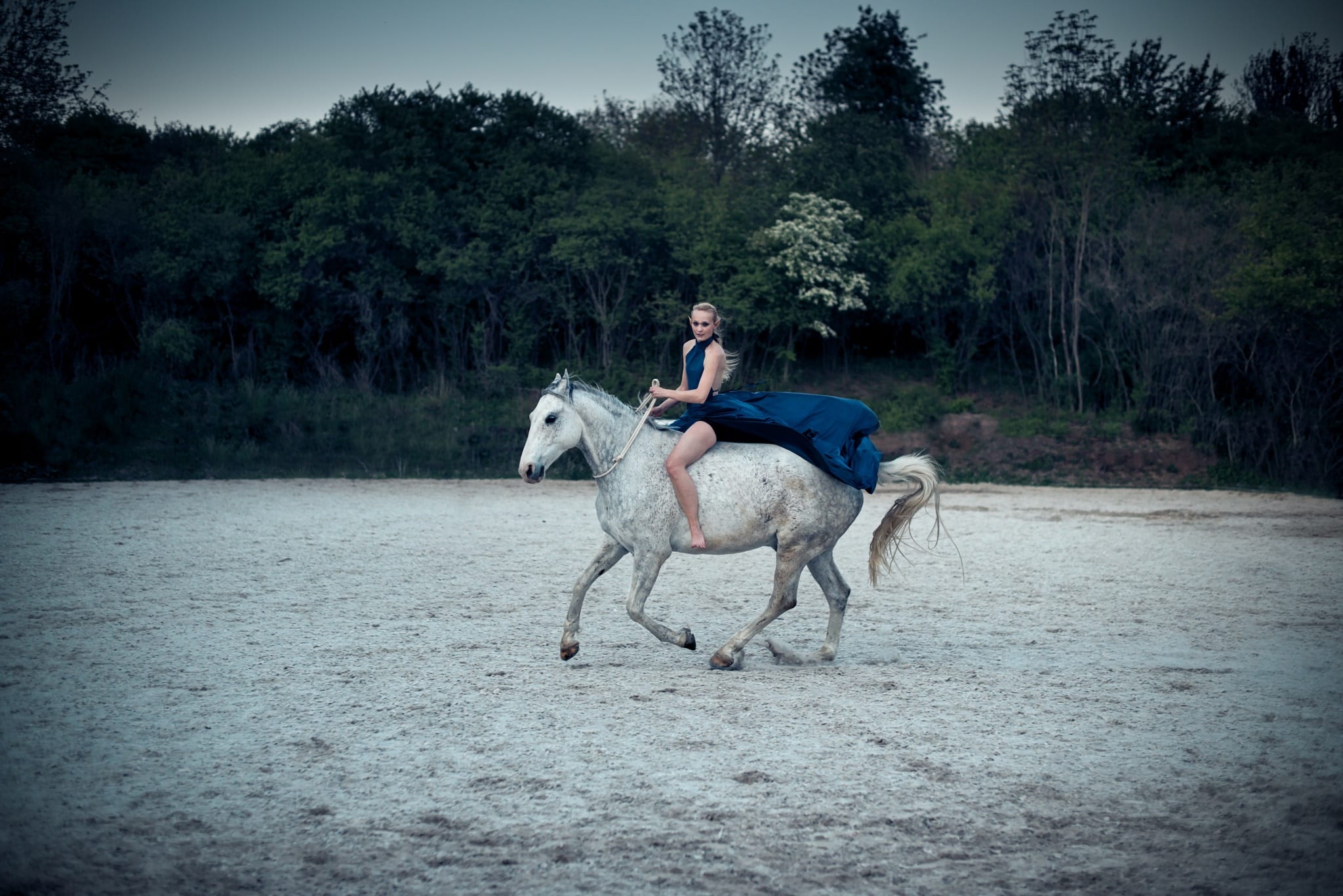 Taking Portraits with Animals