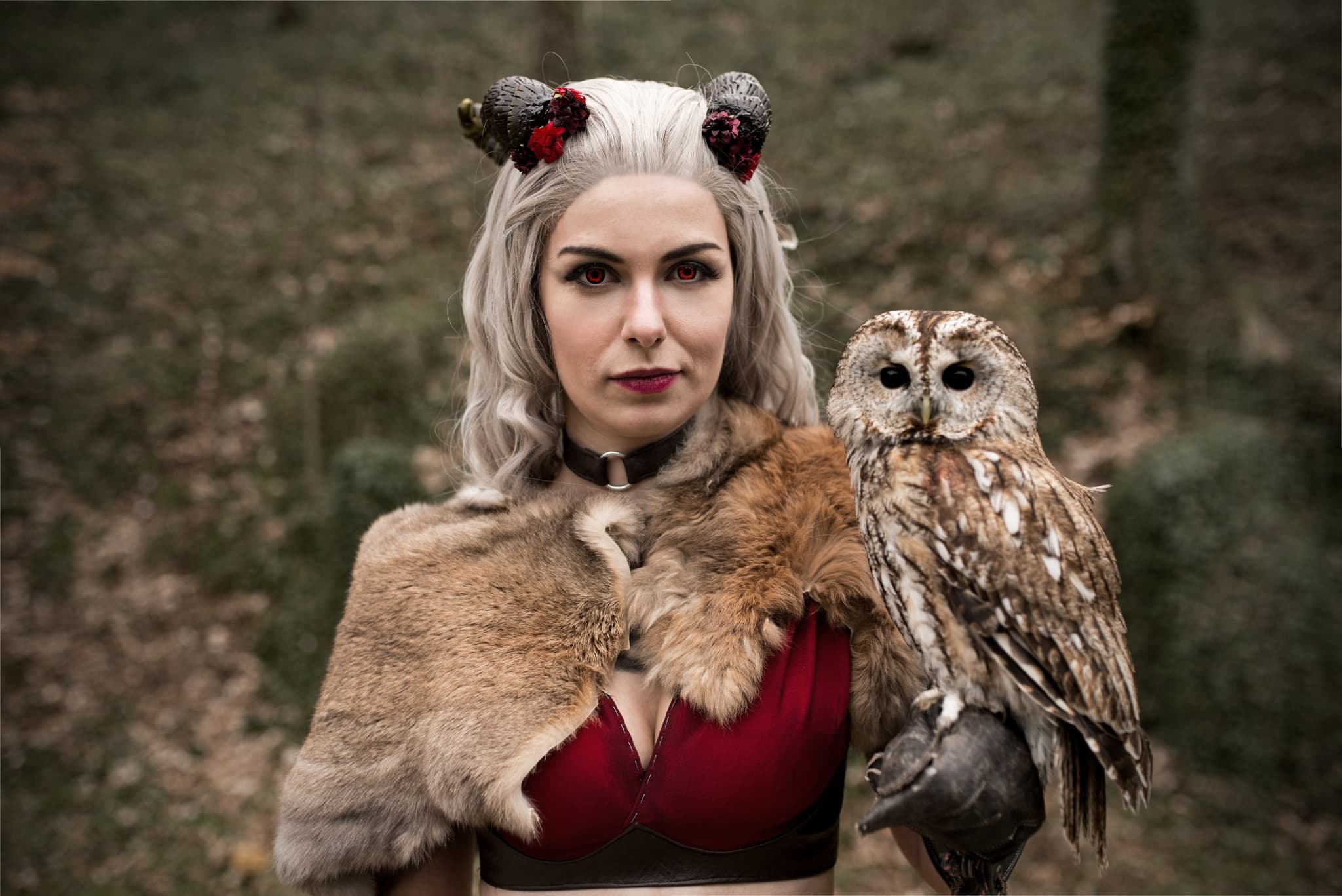 Taking Portraits with Animals