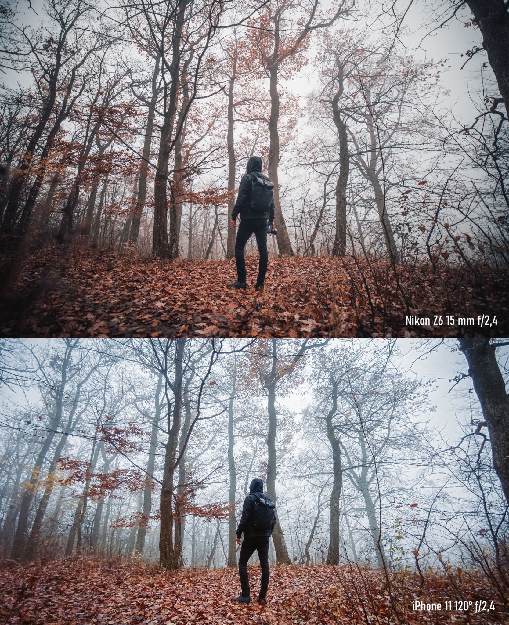 Comparing Smartphones and Cameras - Is the Gap Closing?