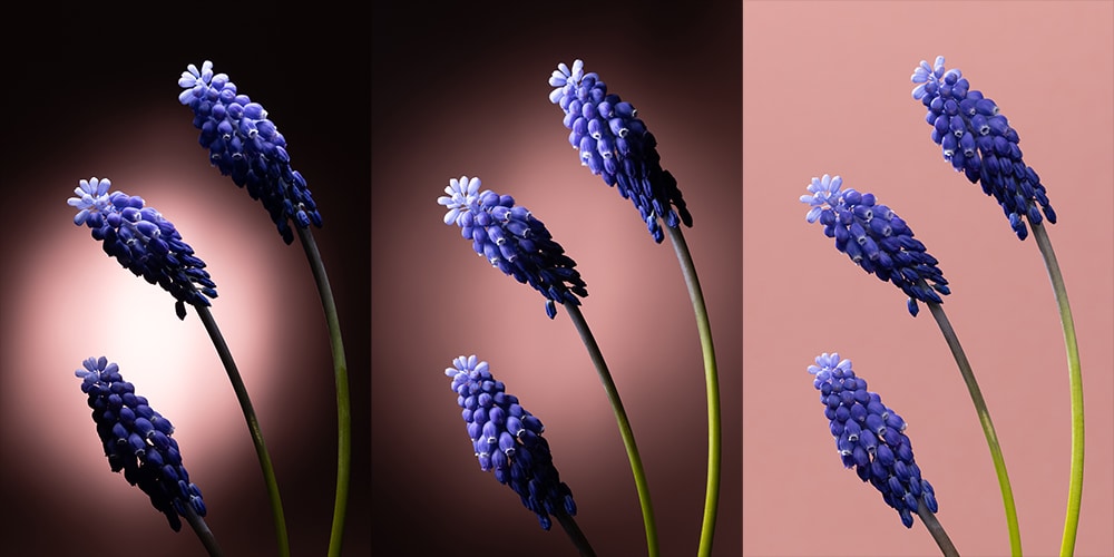 How to Do At-Home Flower Photography