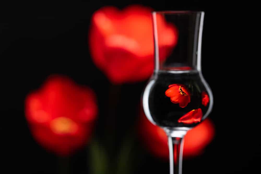 How to Do At-Home Flower Photography
