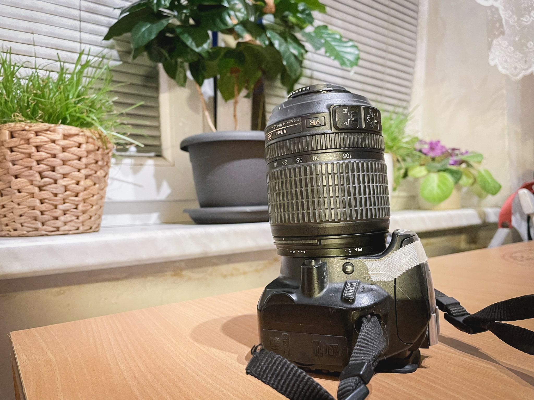 Three Affordable Ways to Get Started with Macro Photography without a Macro Lens