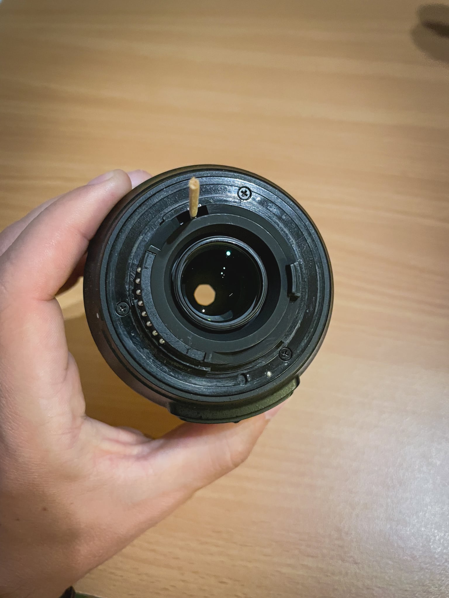 Three Affordable Ways to Get Started with Macro Photography without a Macro Lens