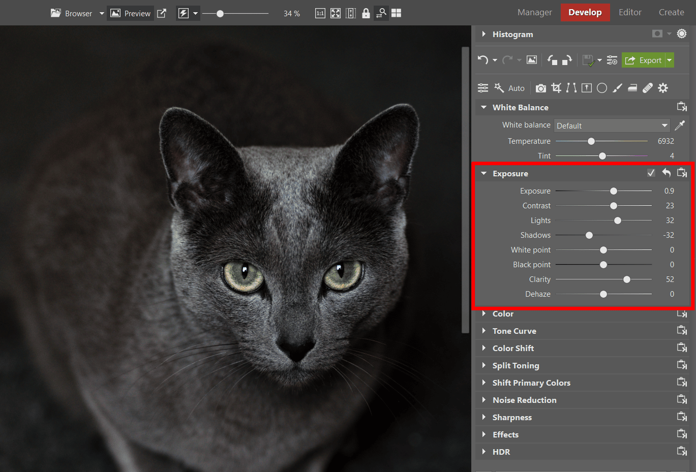 Tips for Editing Cat Photos