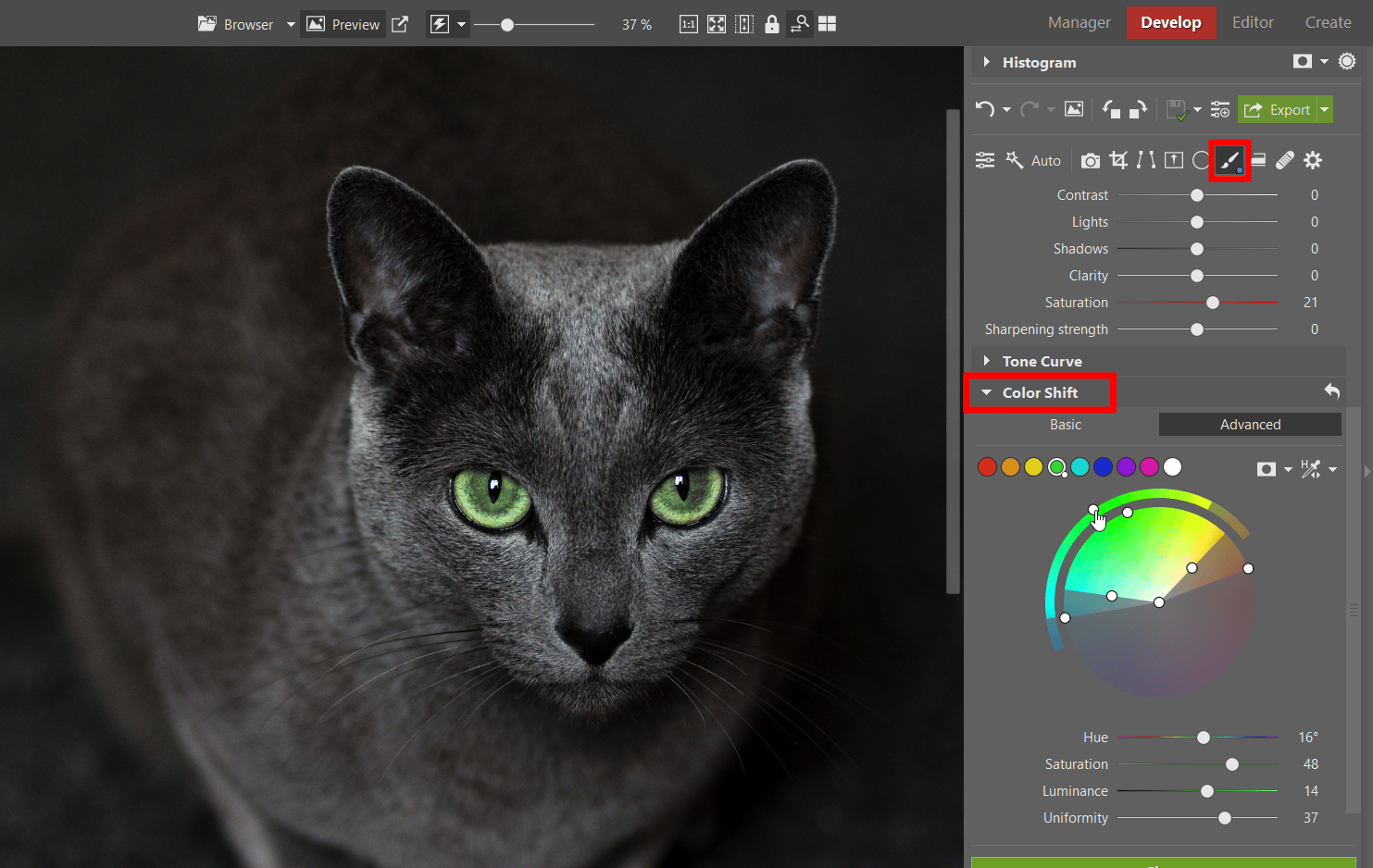 Tips for Editing Cat Photos