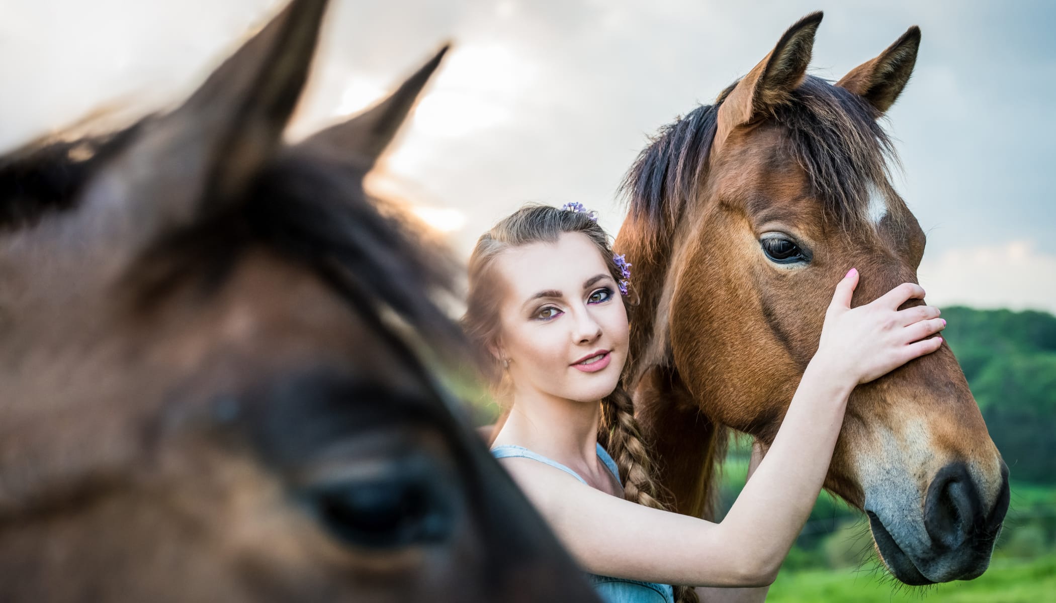 How Do You Get Great Horse Photos? Soap On, Ears Forward, and