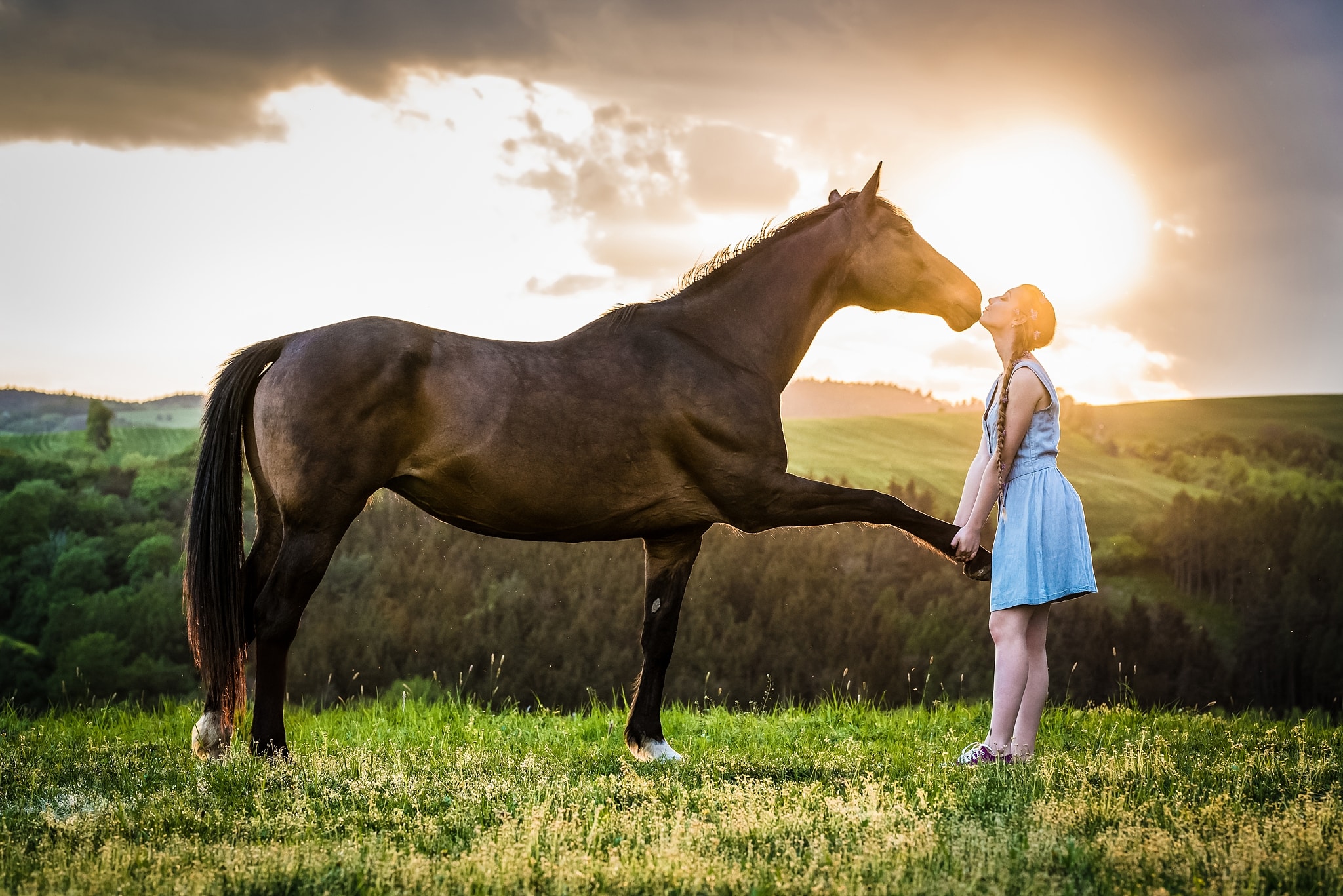 Download A Girl Poses With A Horse In A Field Wallpaper | Wallpapers.com
