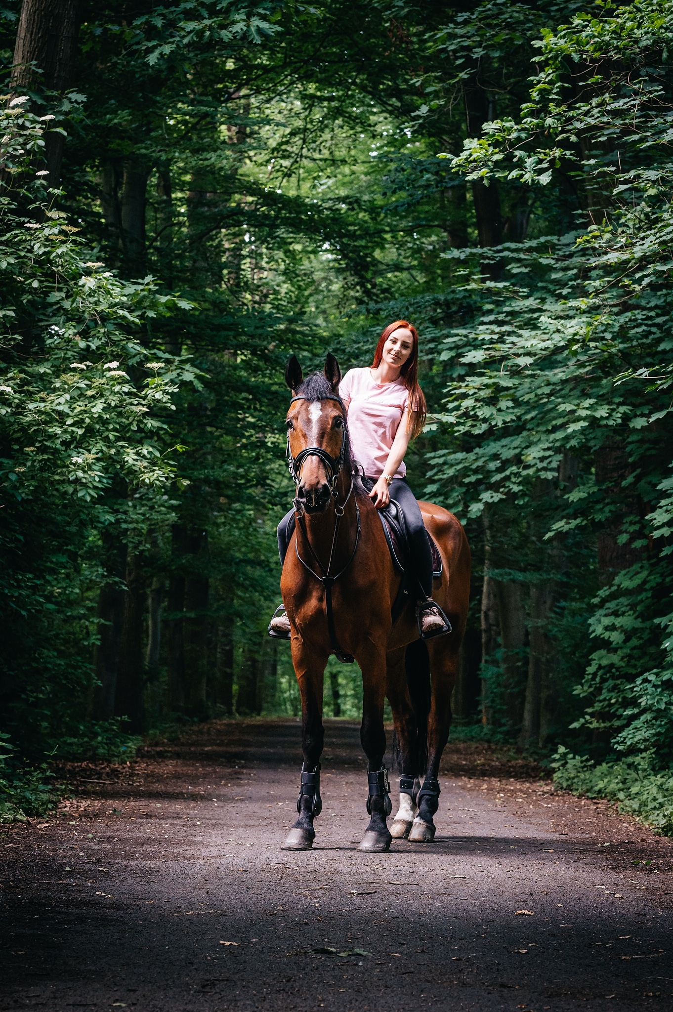 How to Take Portraits with Horses