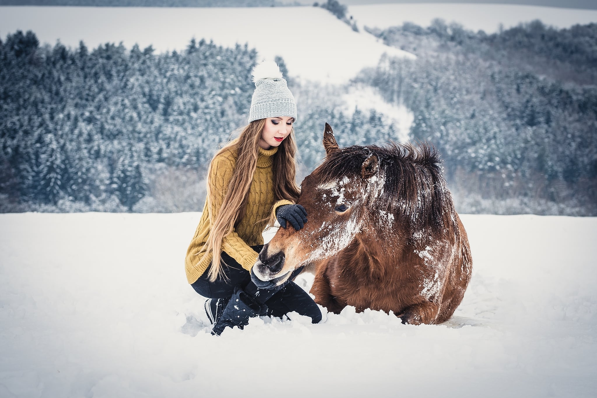 How to Take Portraits with Horses