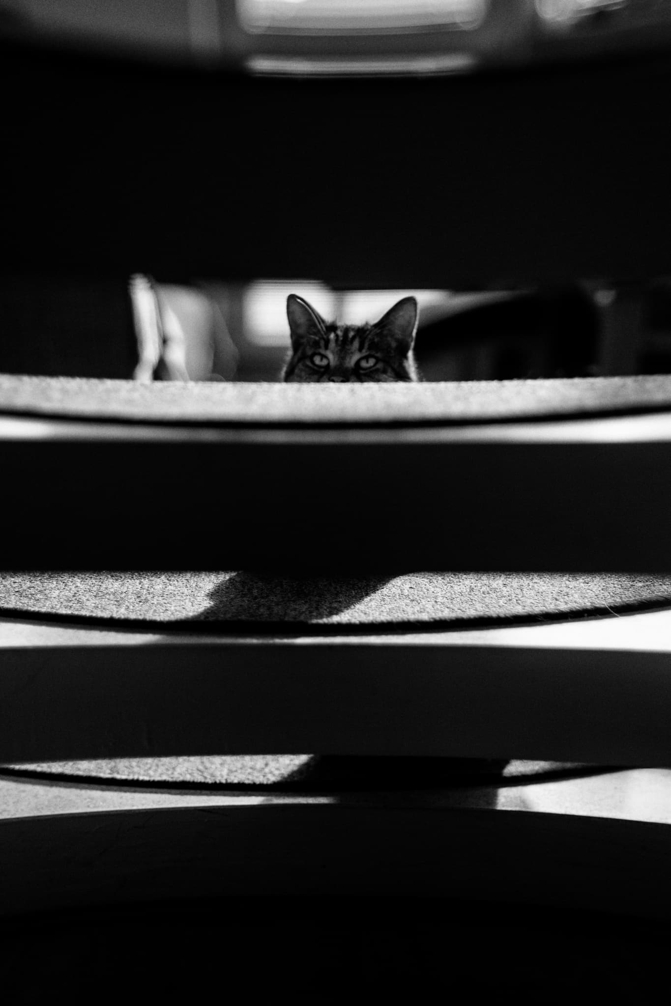 Photograph minimalistically and find beauty in simplicity