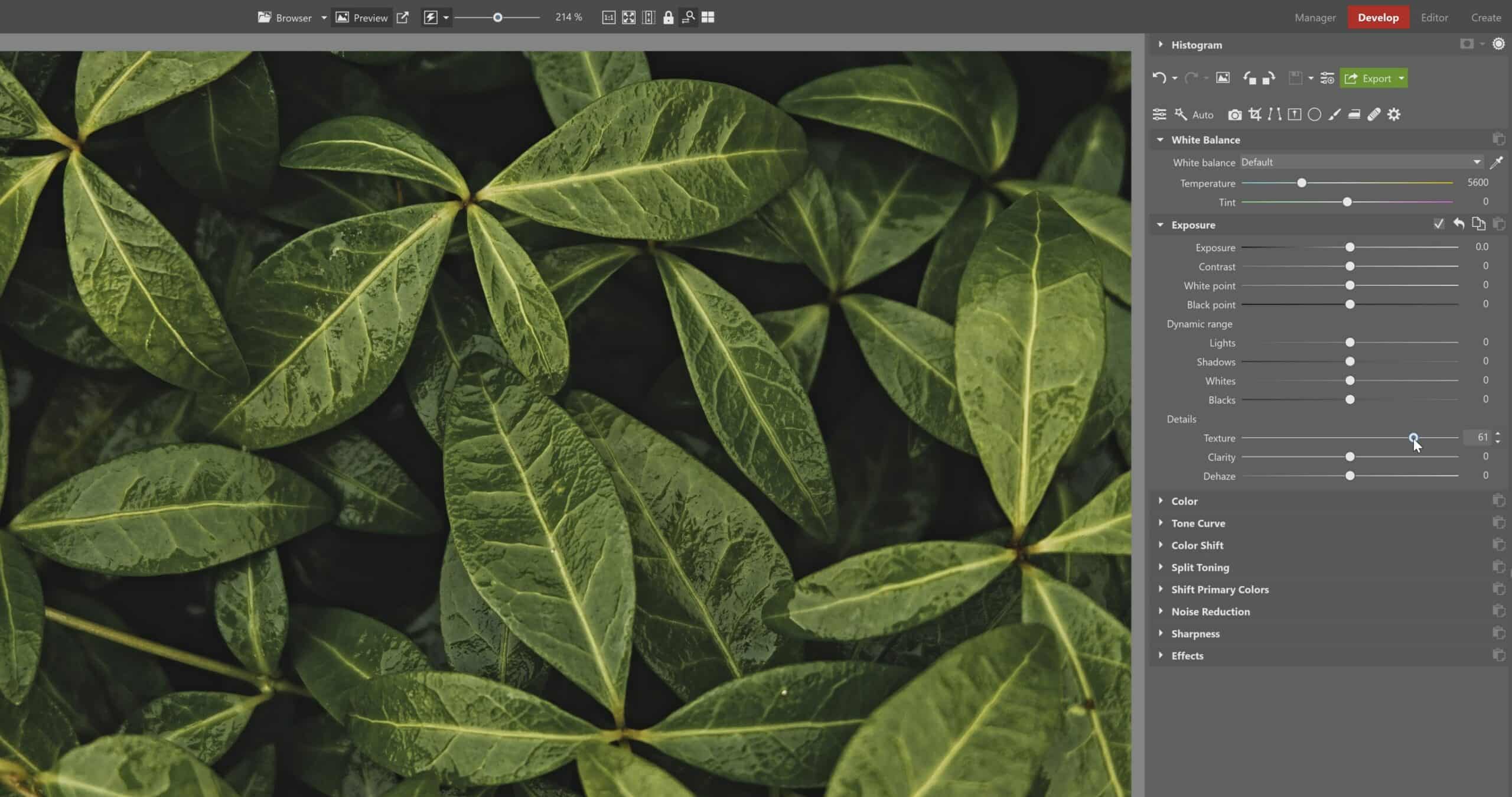 The 2021 Fall Update: A Faster Develop Module, New Noise Reduction, and Other New Features