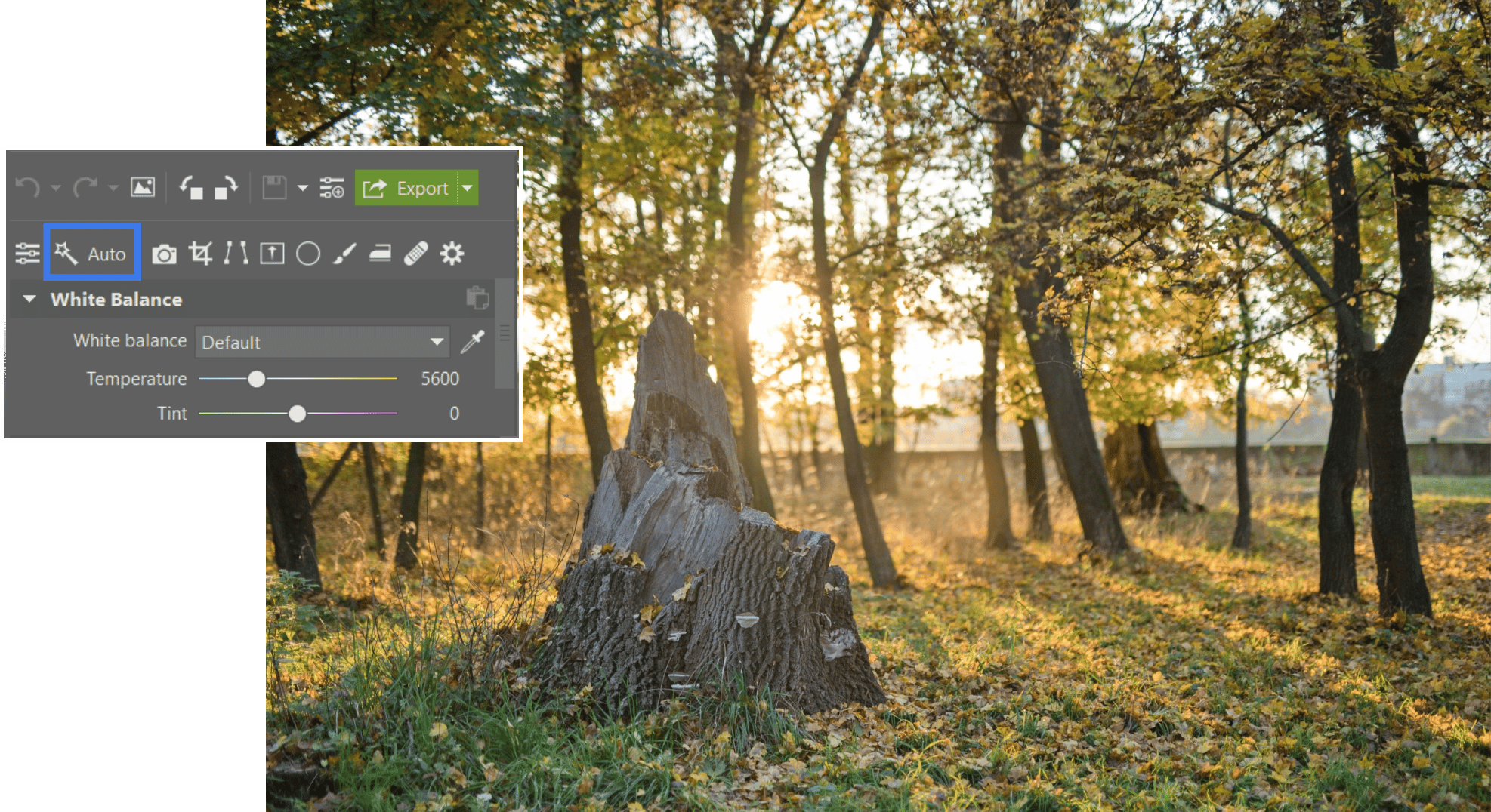 Processing RAW Images