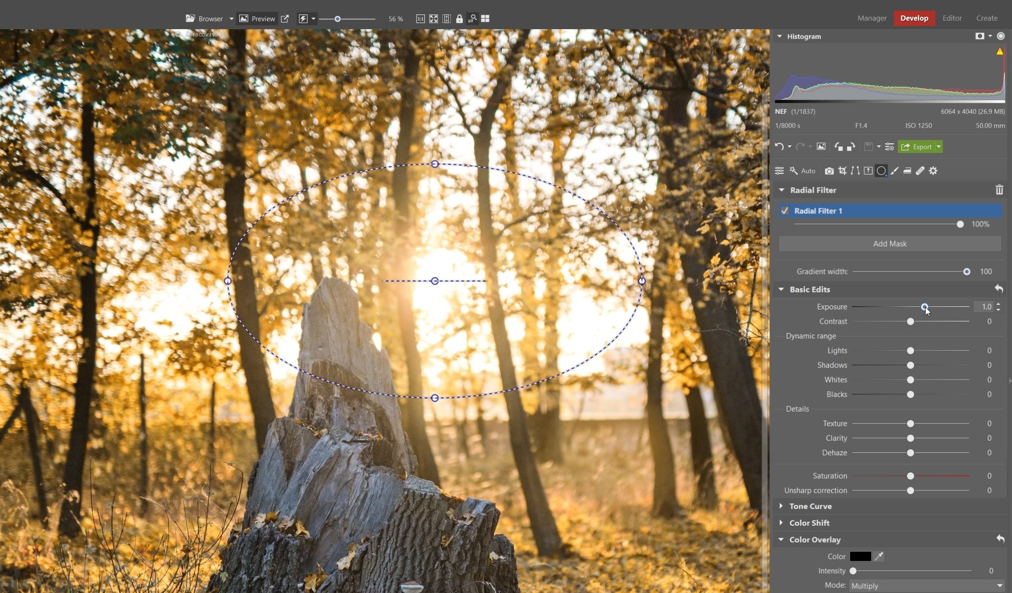 Processing RAW Images