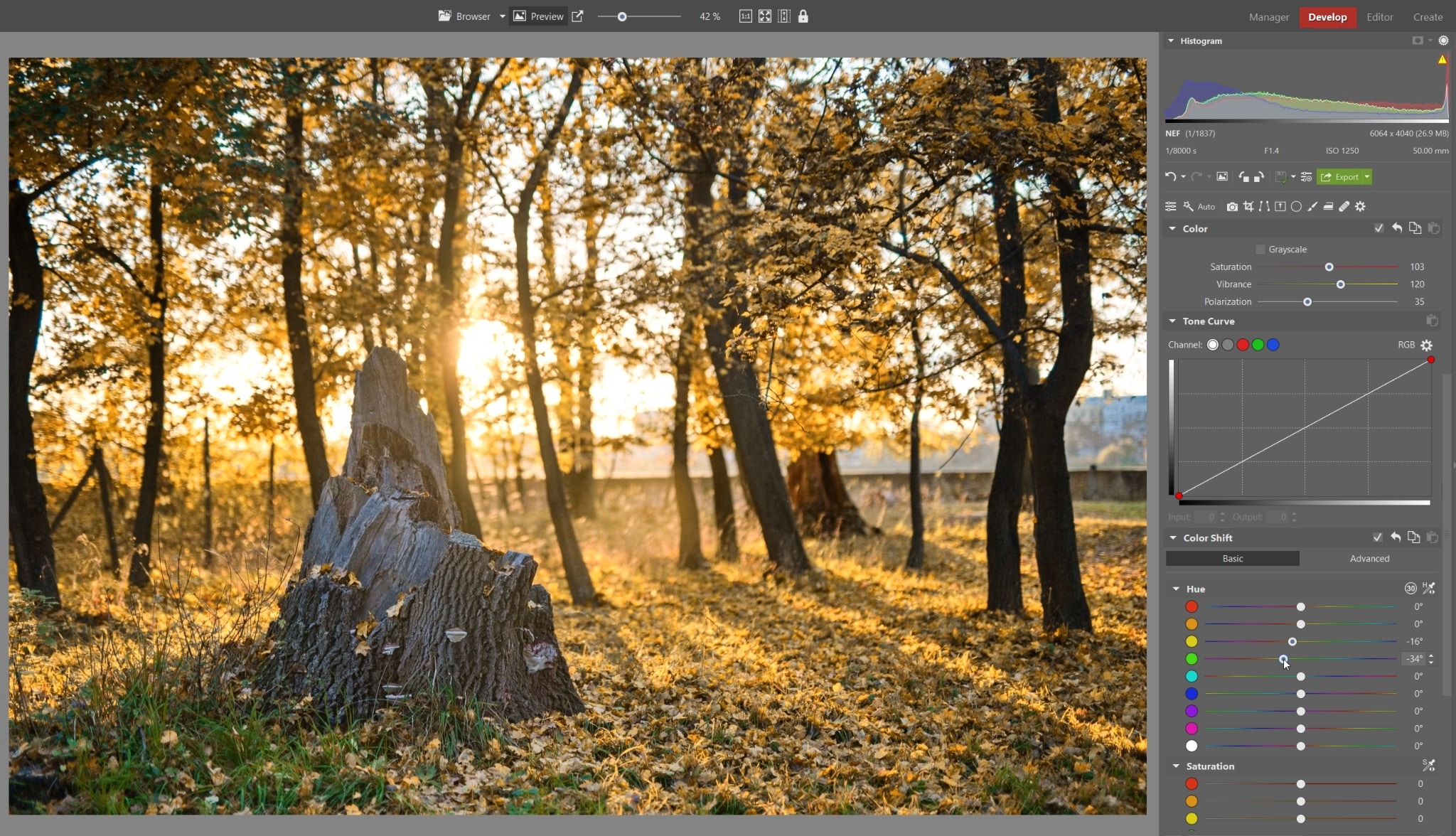 Processing RAW Images
