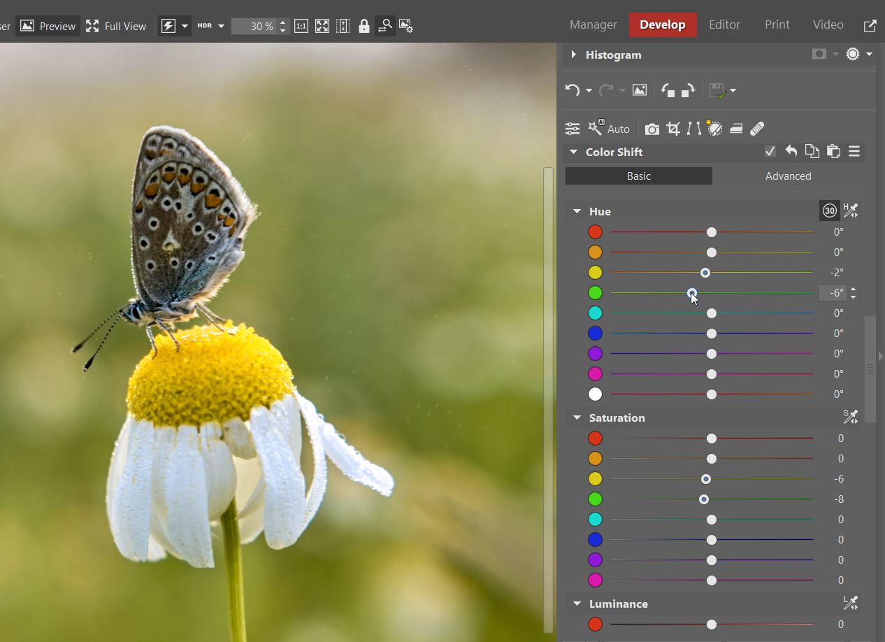 Raw Photo With Less Color Beginner’s Guide: How to Develop RAW Images | Learn Photography by ...