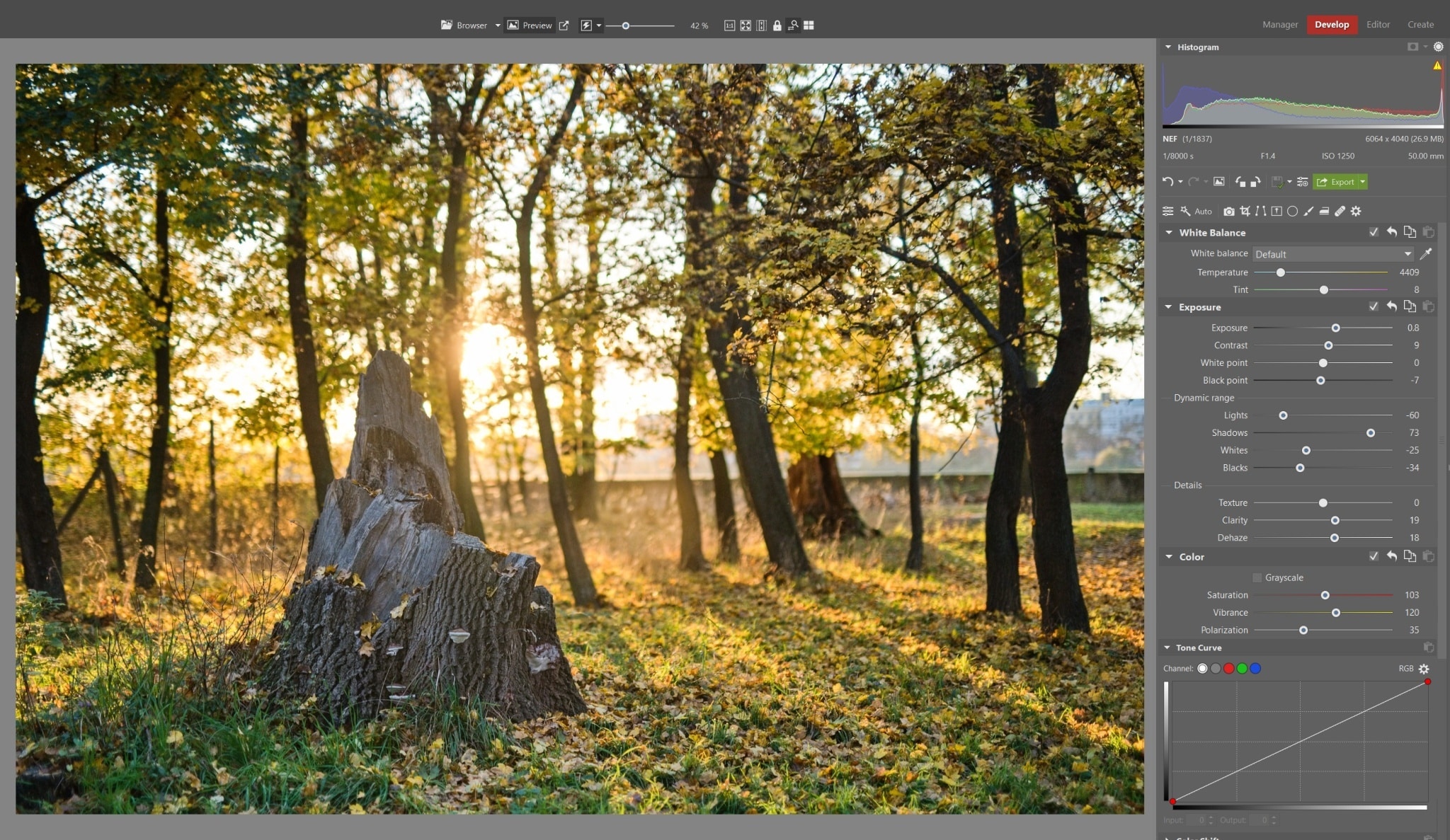 Processing RAW Images