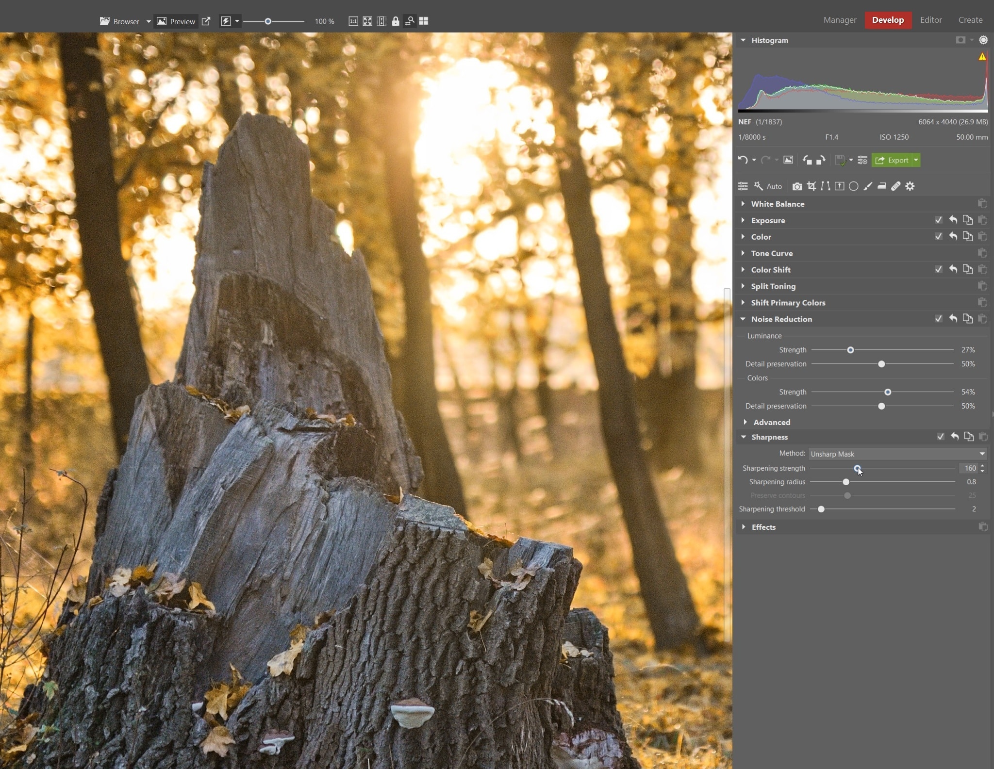 Processing RAW Images