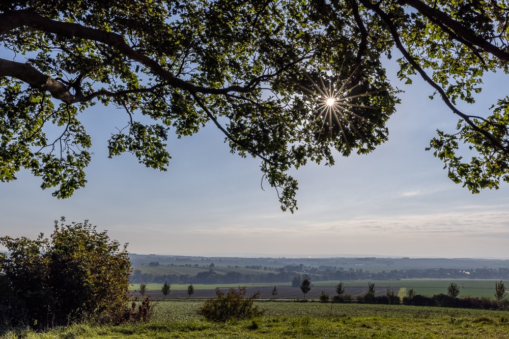 How to Brighten Your Photography with Sunstars