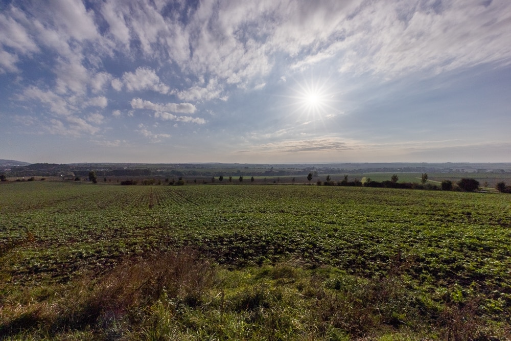 How to Brighten Your Photography with Sunstars