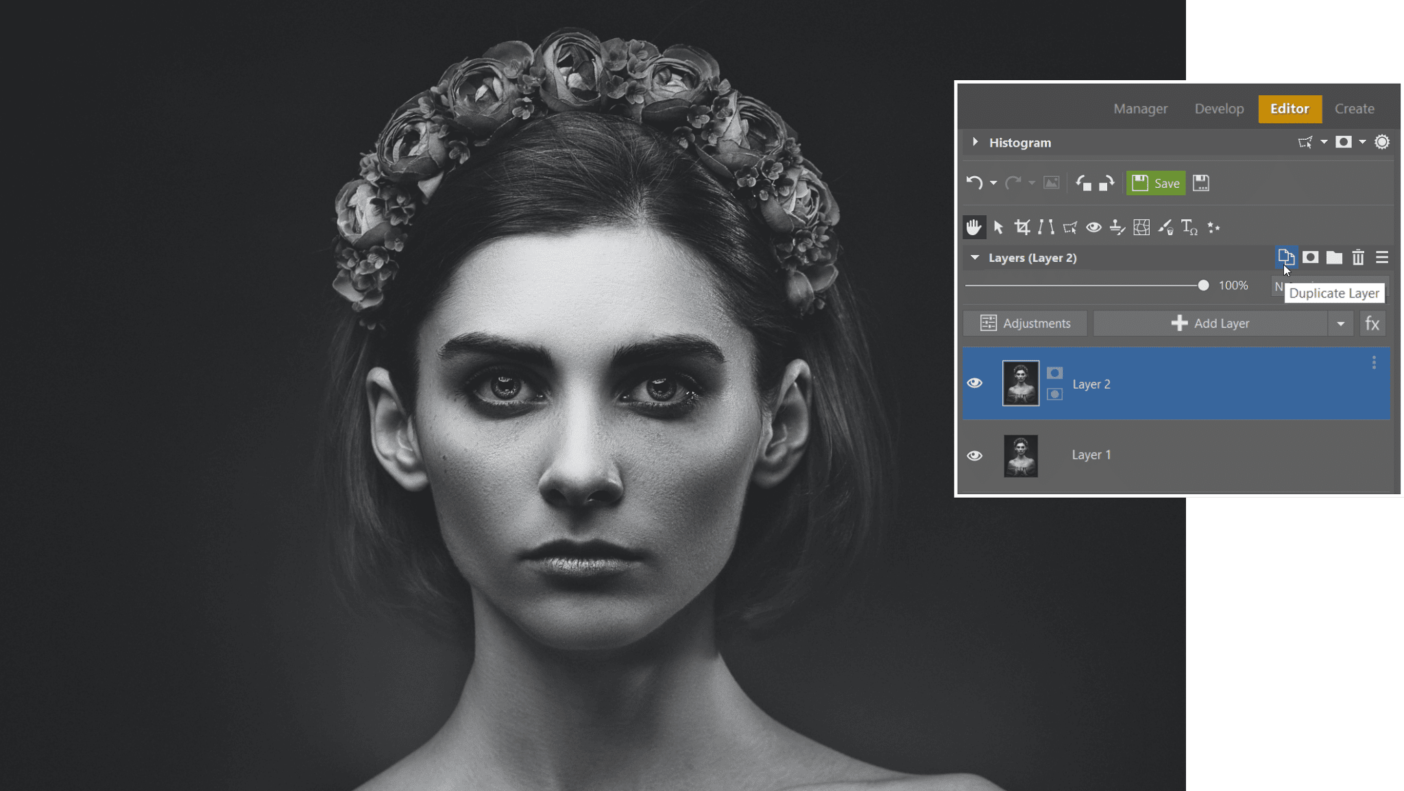 Colorize Black and White Images