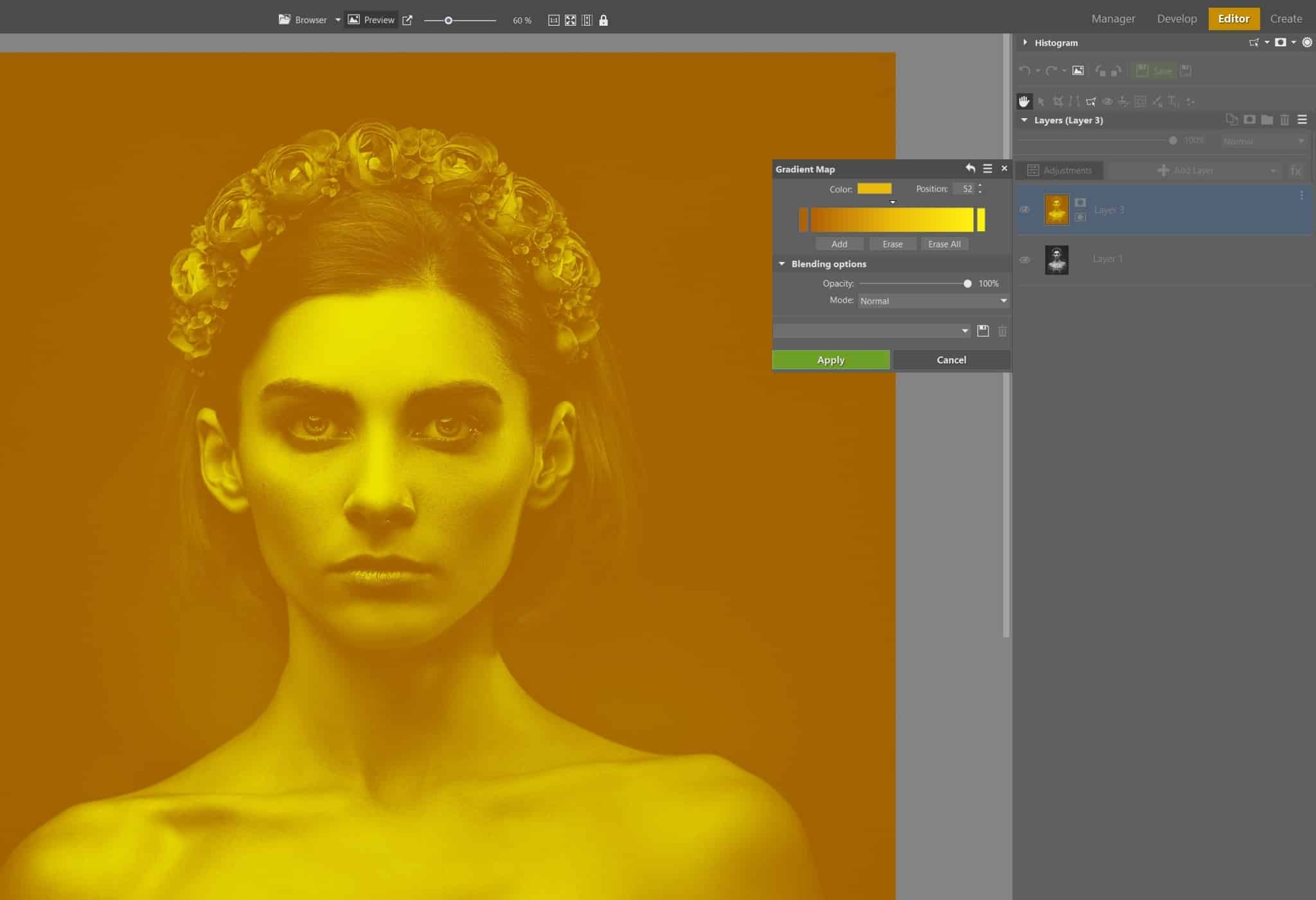 Colorize Black and White Images