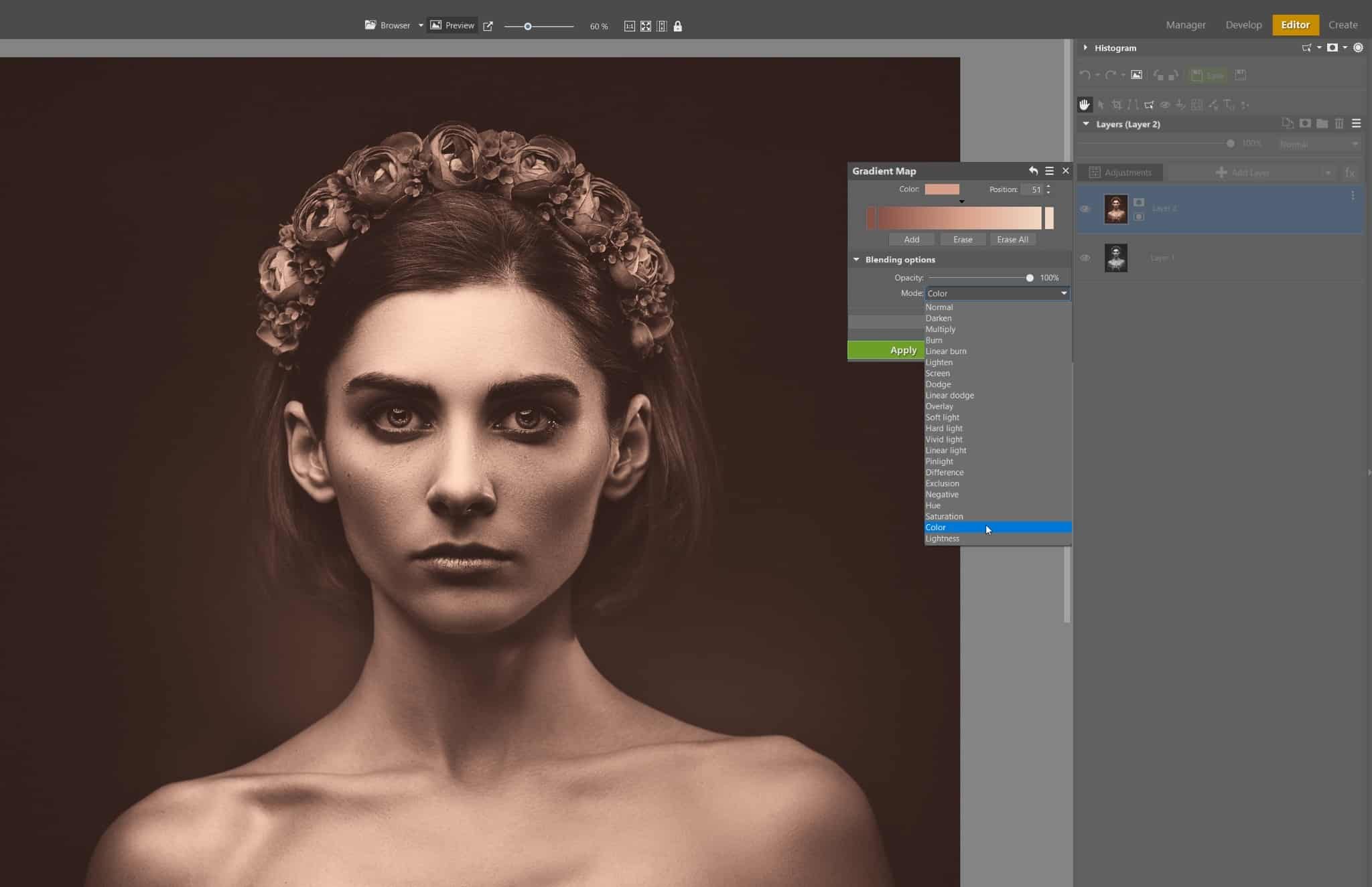 Colorize Black and White Images