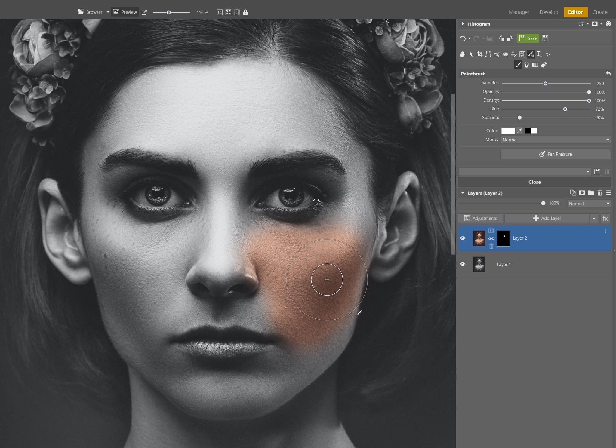 Colorize Black and White Images