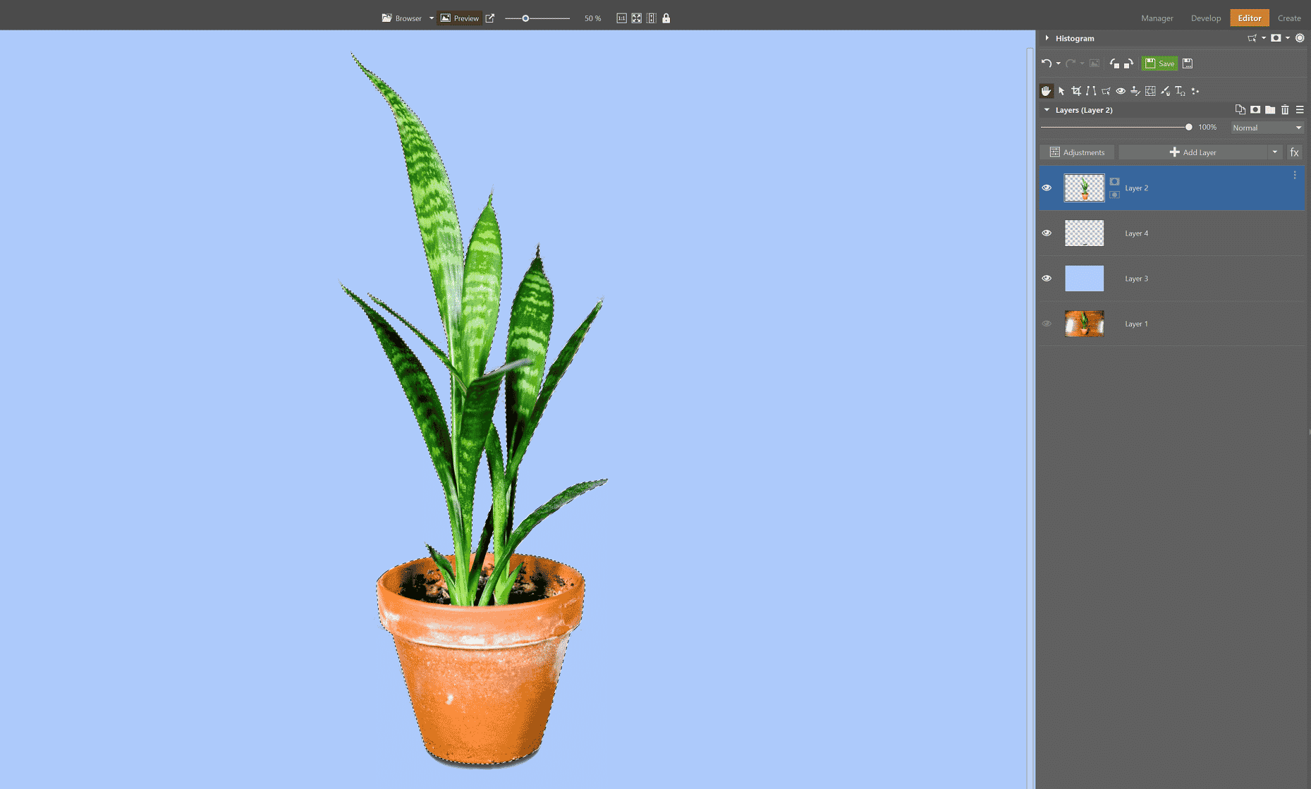 Edit Your Photos in ZPS X with the XP-Pen Graphics Drawing Tablet