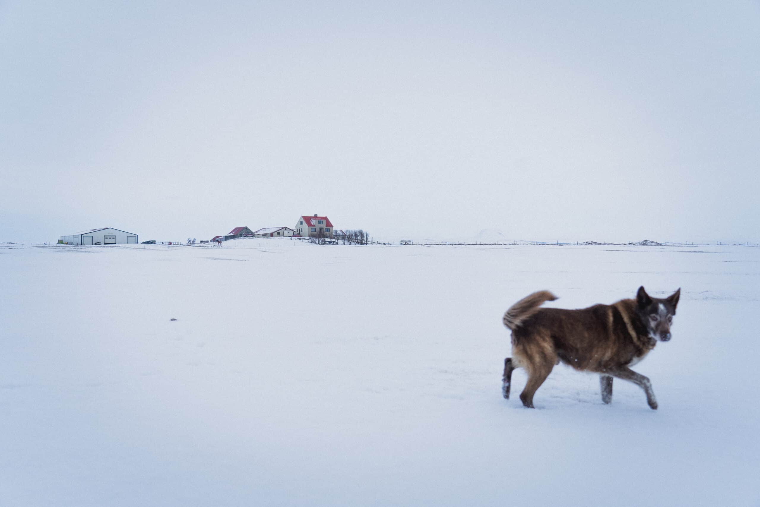 Create a Winter Photo Series