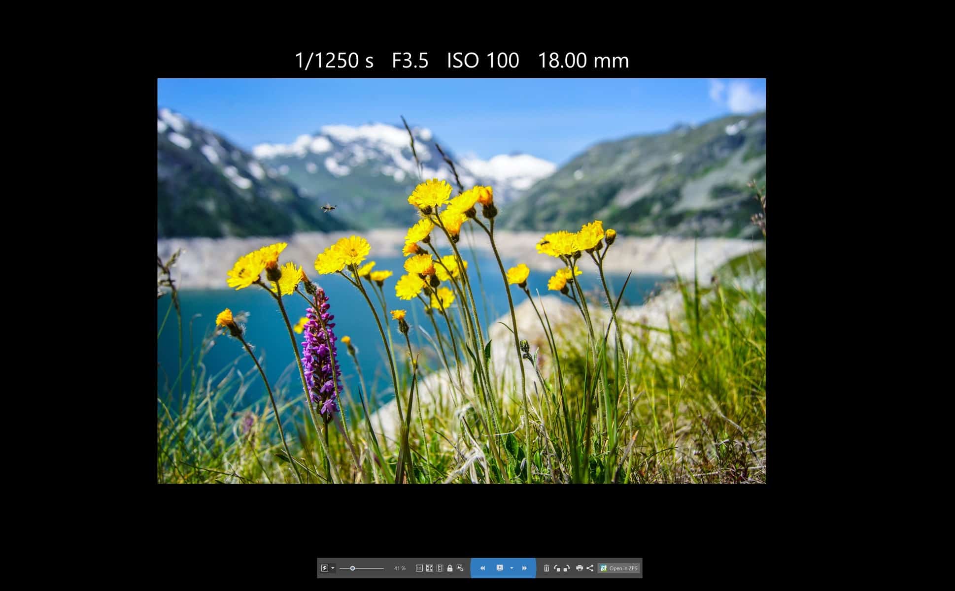 The ZPS X Spring Update: customization, speed, and new improvements