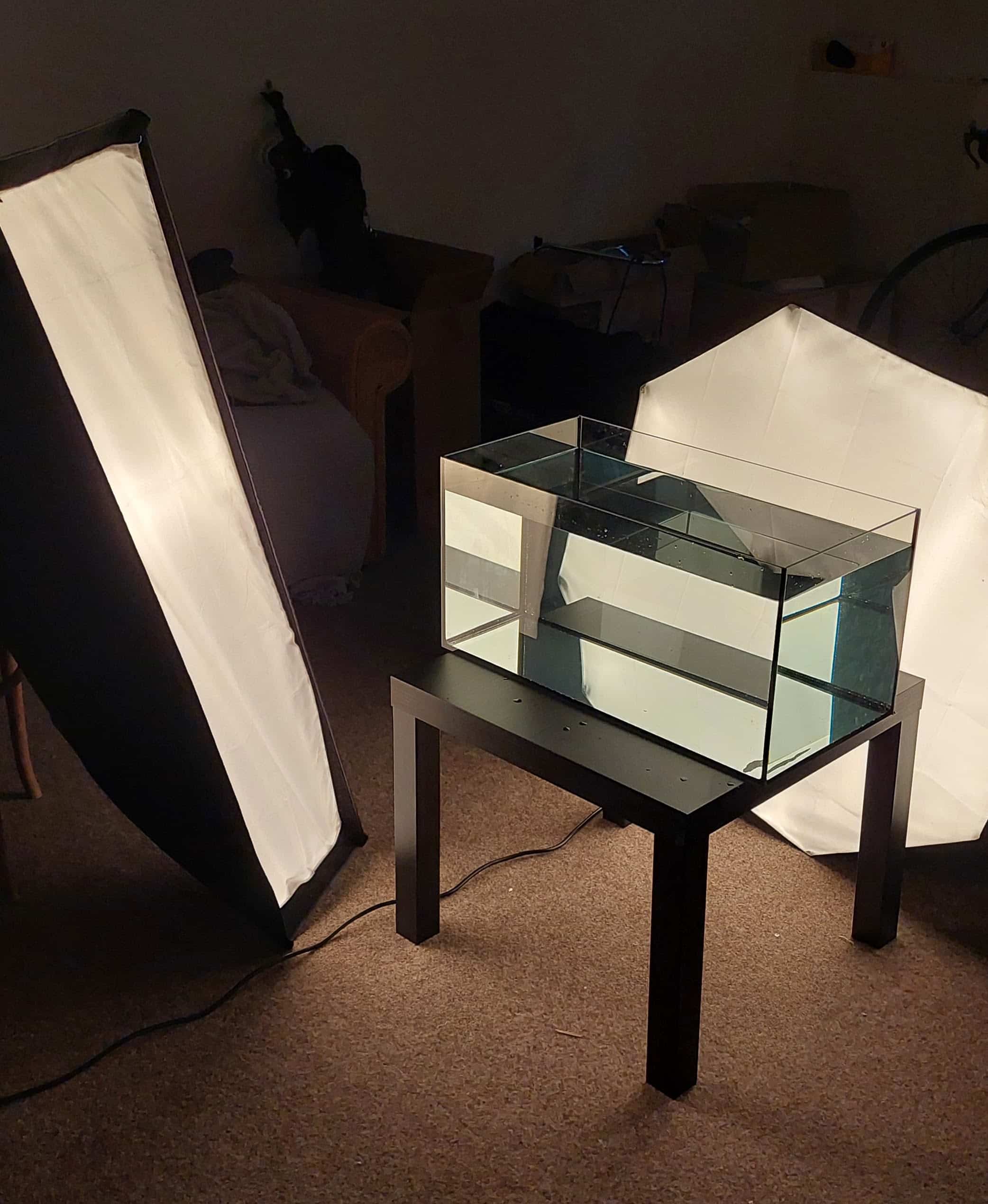 At-Home Underwater Portraits