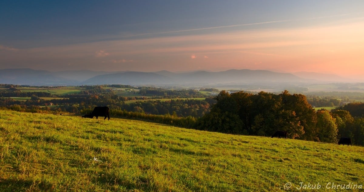 Eight Fall Photography Ideas