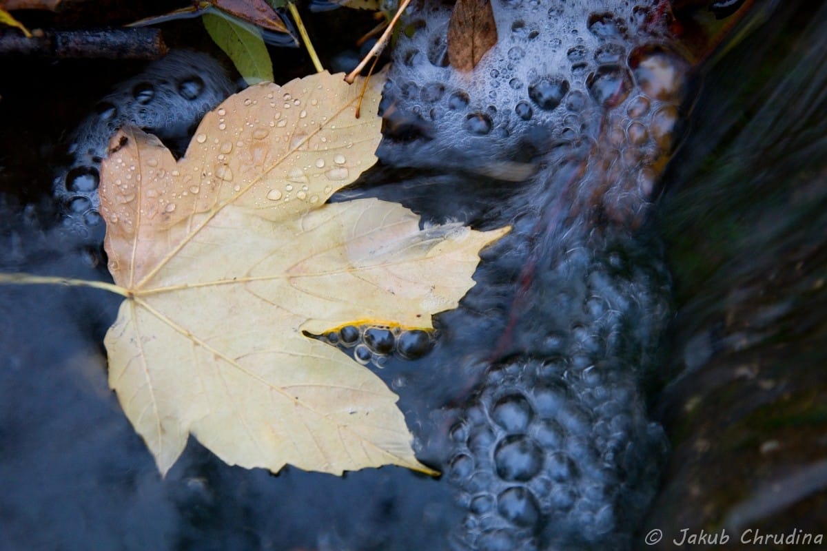 Eight Fall Photography Ideas