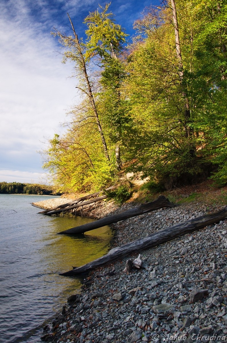 Eight Fall Photography Ideas