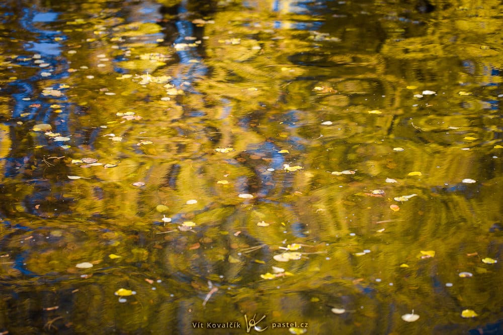 How and Why To Photograph Textures