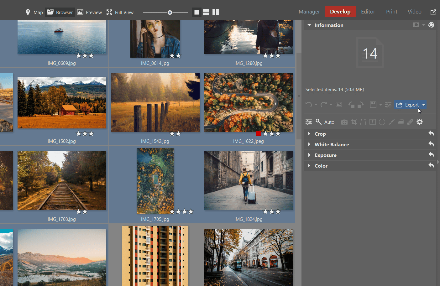 Browser Mode in Develop