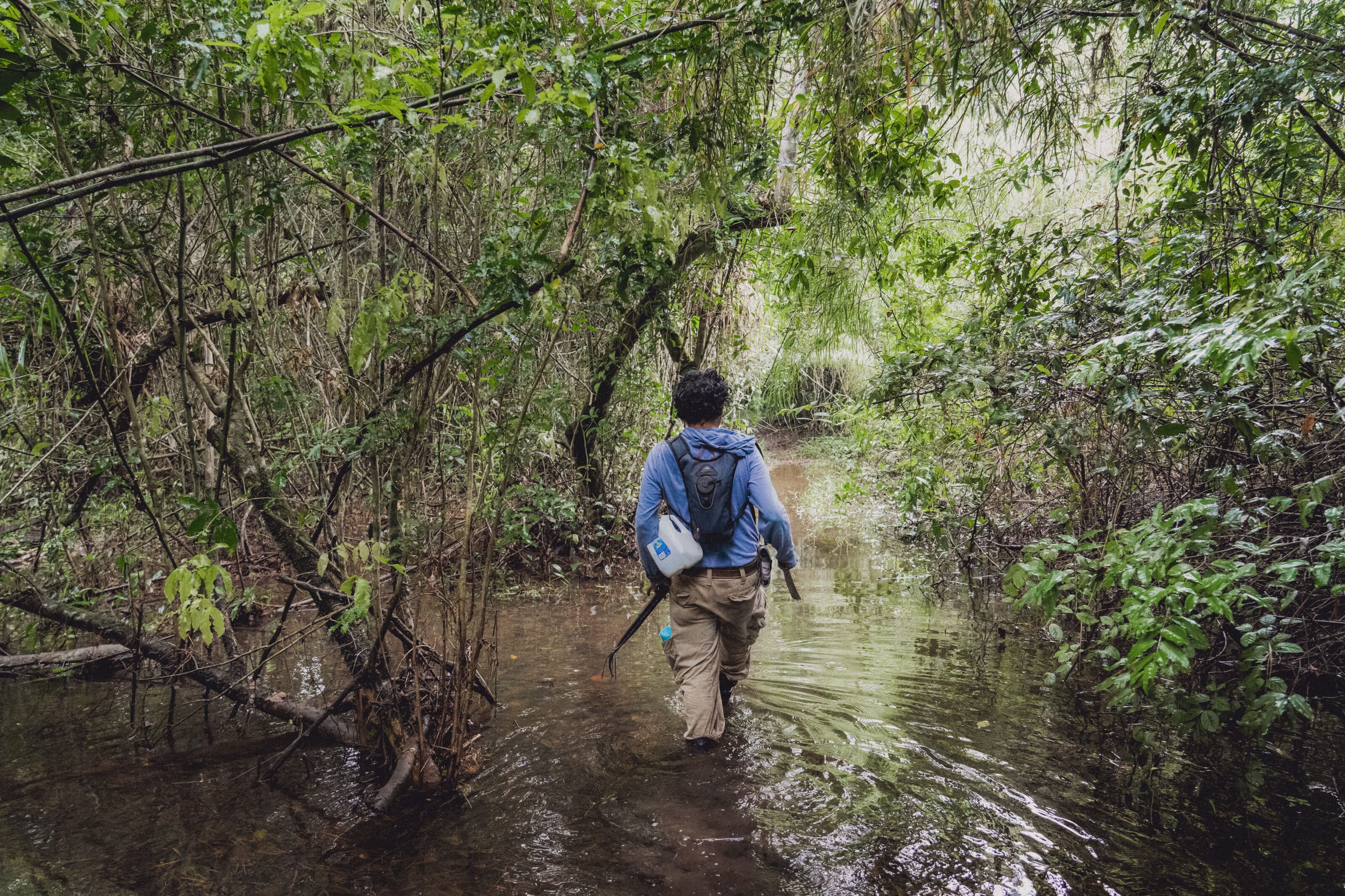 Mexico and Guatemala: Photography in a Tropical Jungle