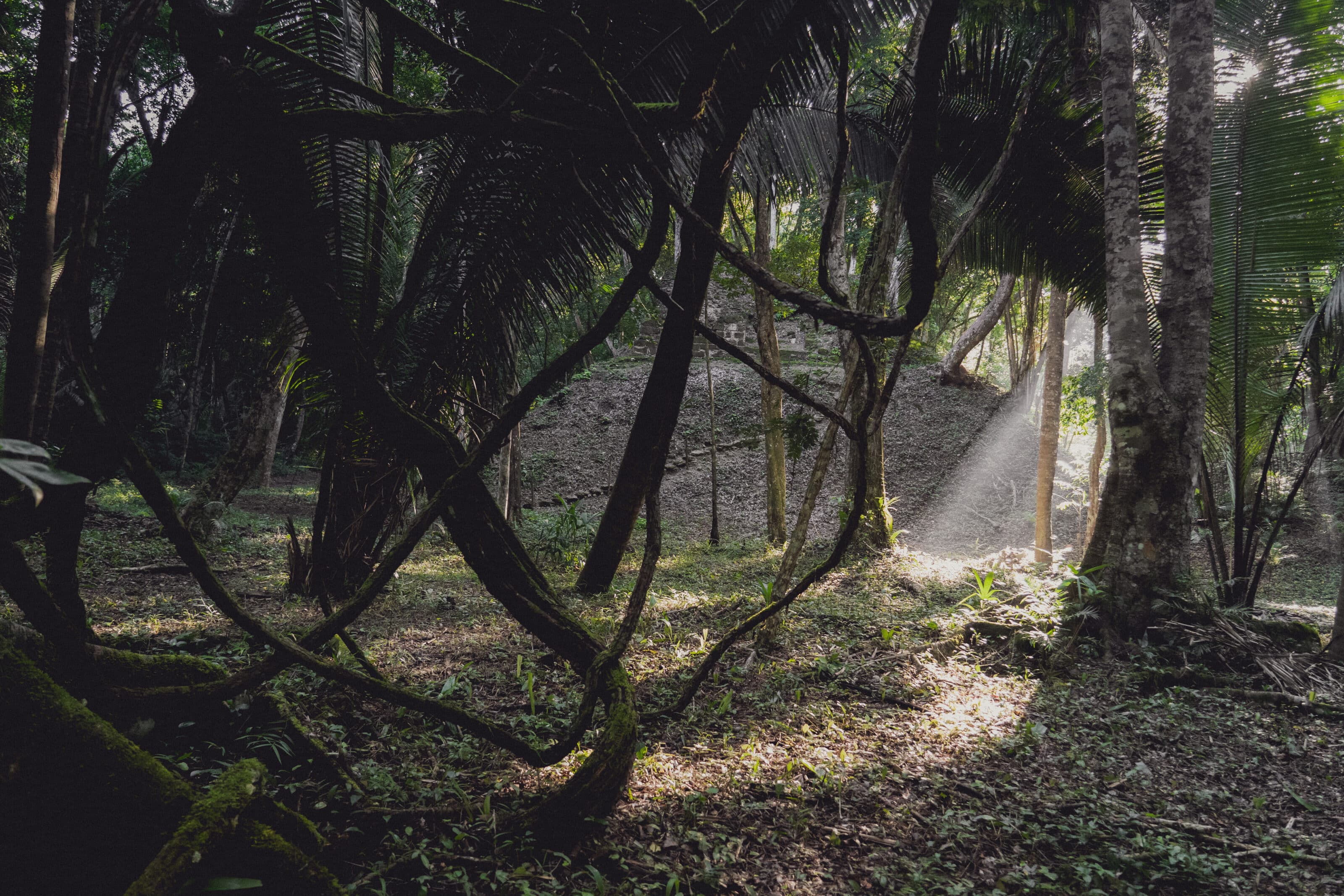 Mexico and Guatemala