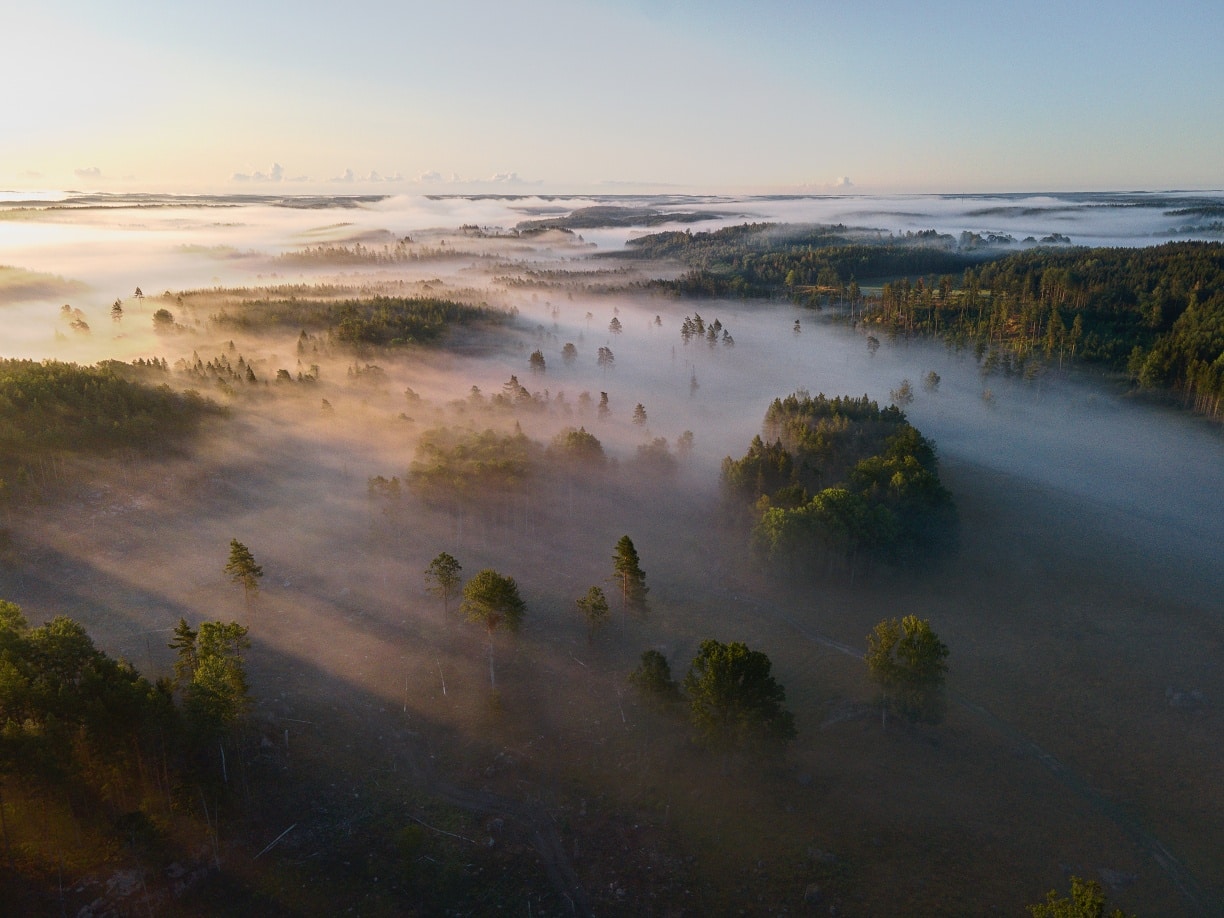 Drone Images