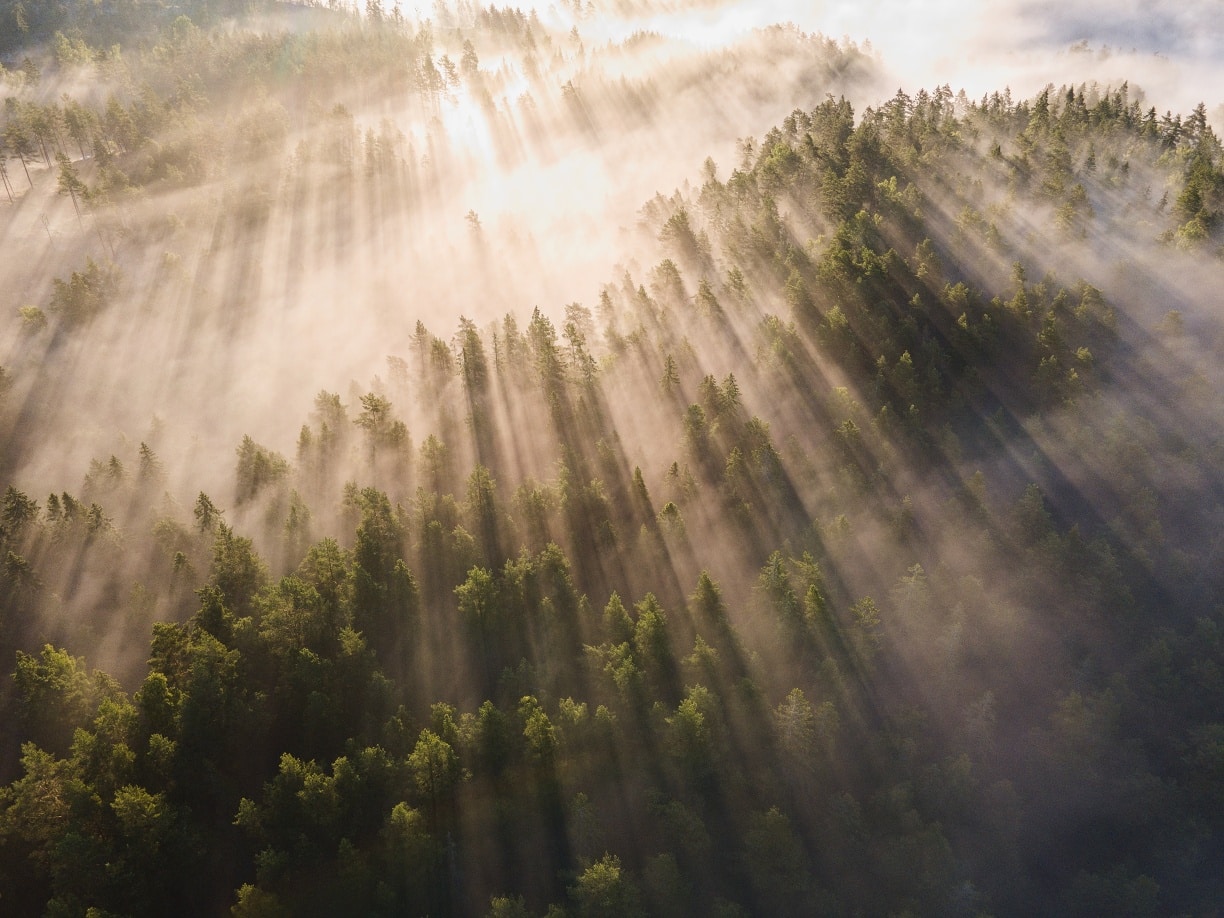 Drone Images
